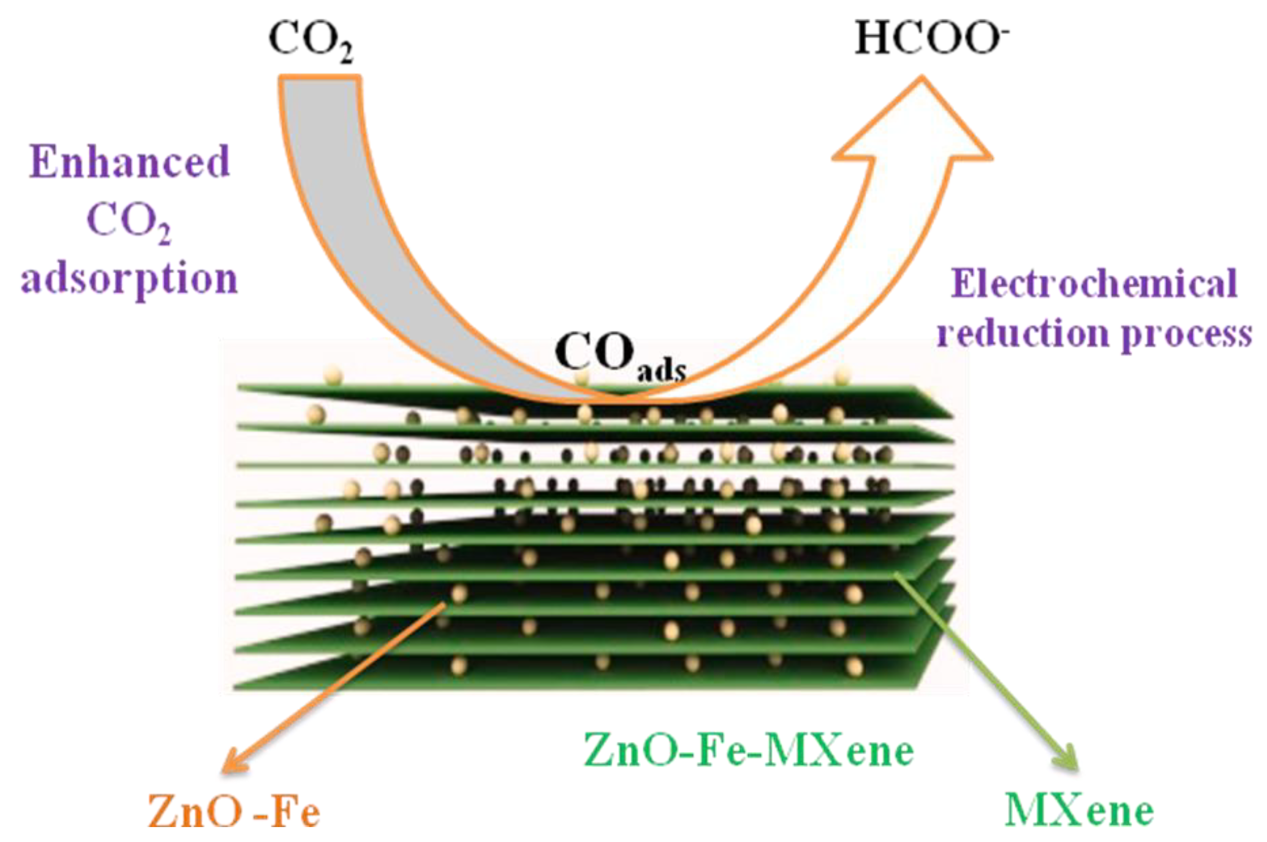 Catalysts 10 00549 g007