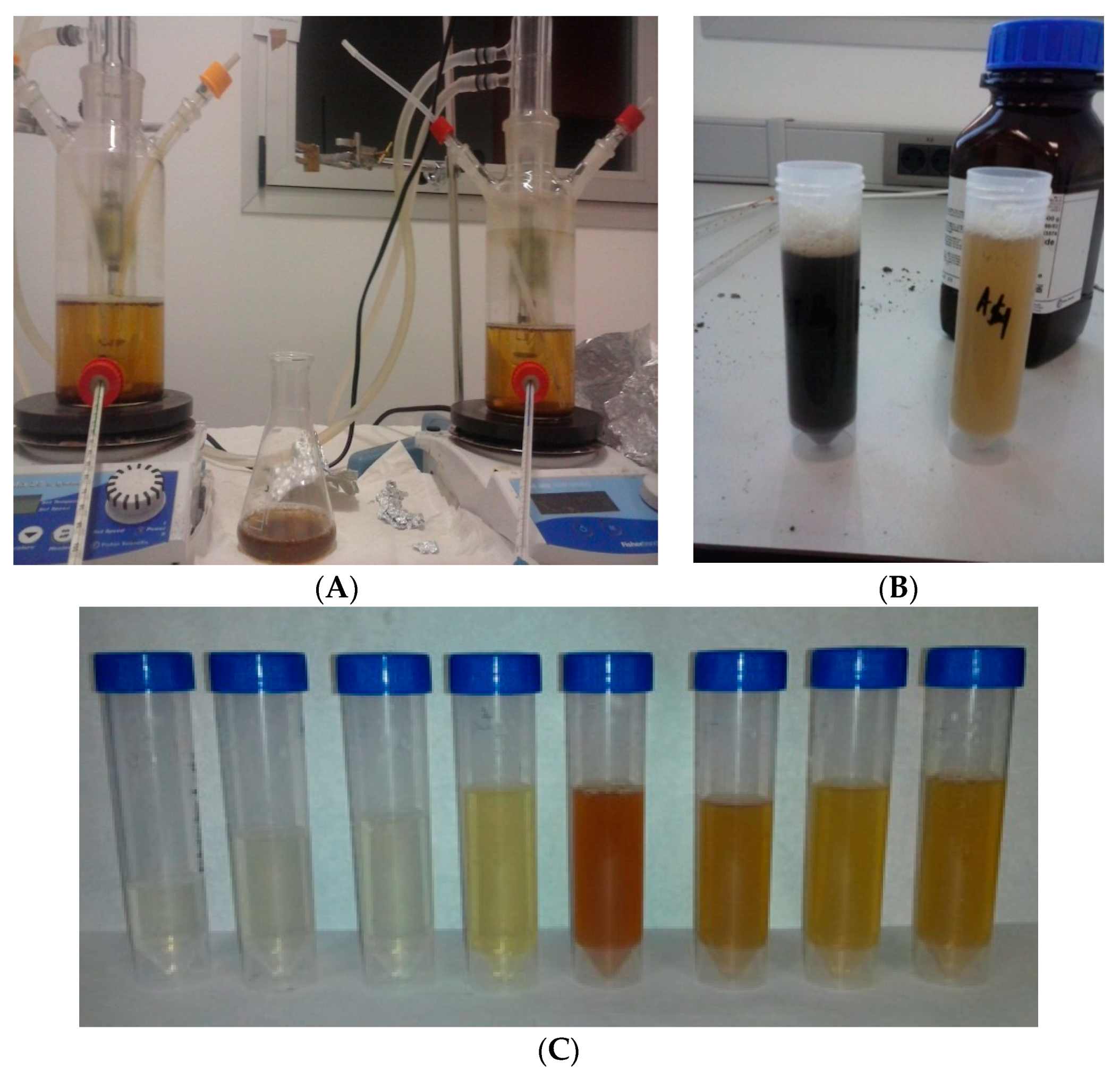 Catalysts 10 00554 g004