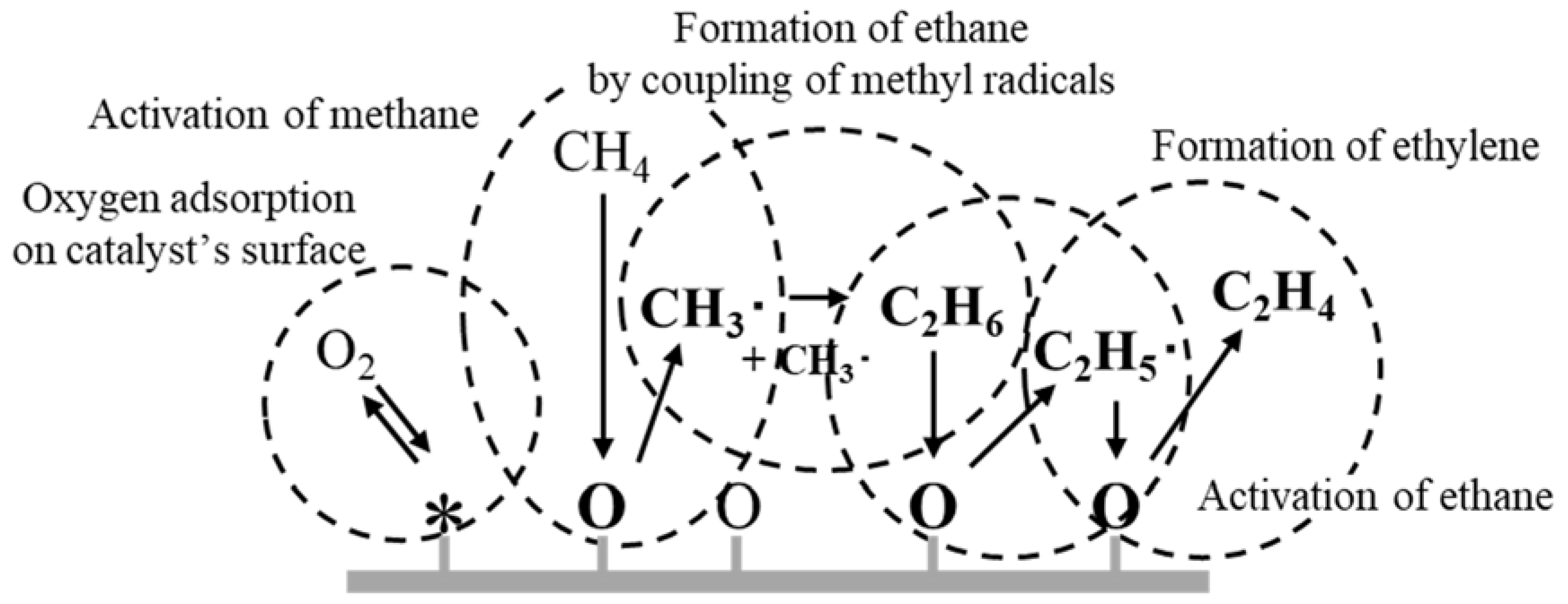Catalysts 10 00559 sch001