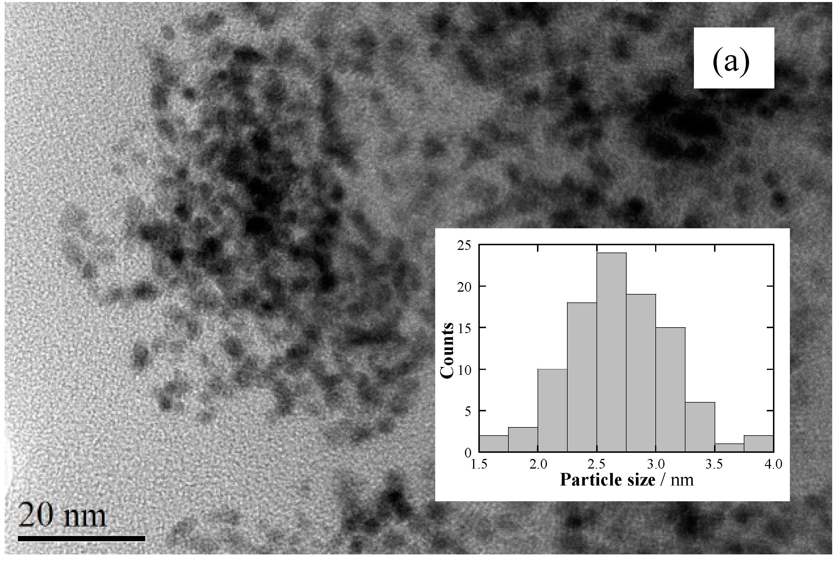 Catalysts 10 00563 g003a Catalysts 10 00563 g003a