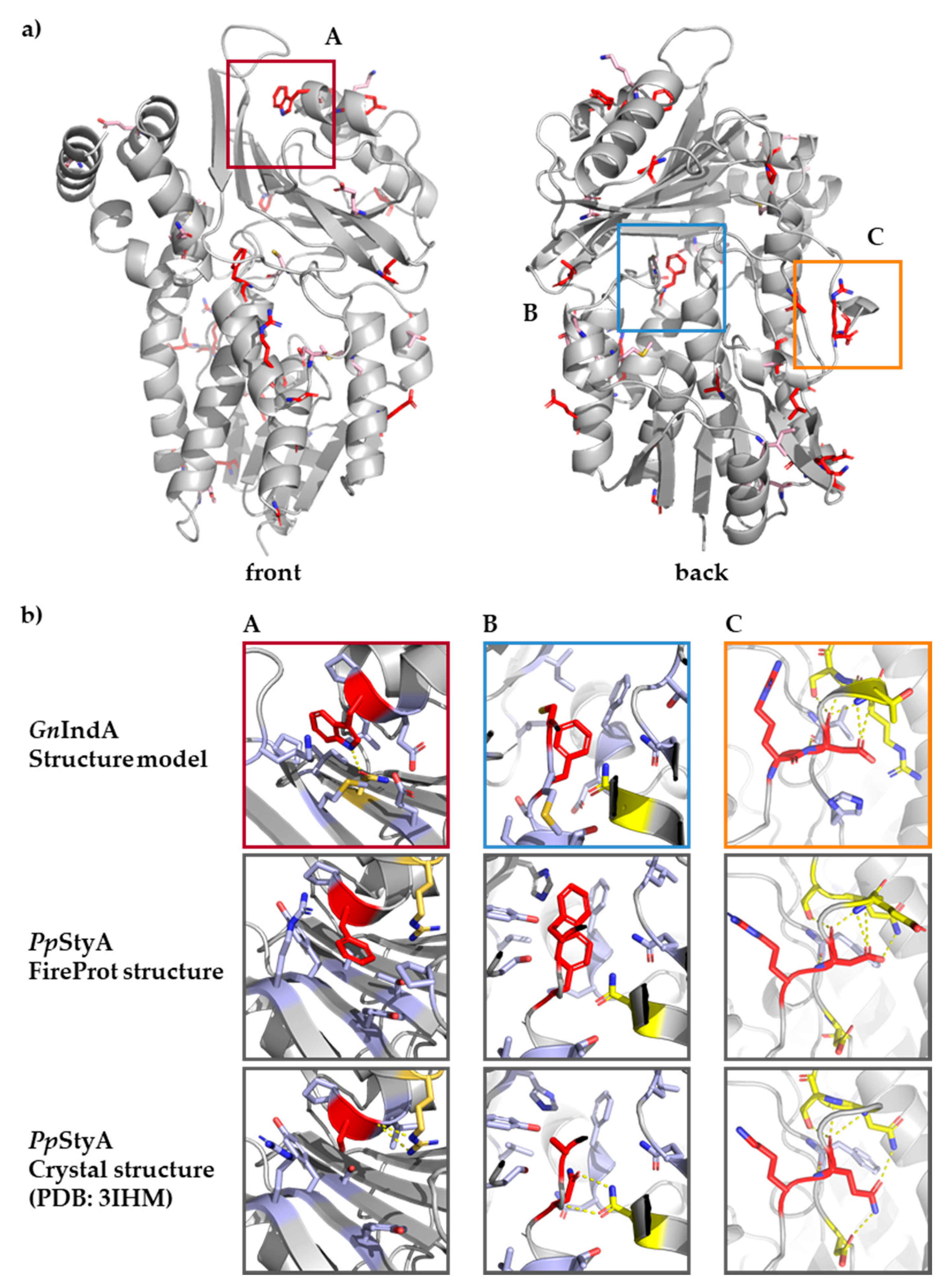 Catalysts 10 00568 g005 Catalysts 10 00568 g005