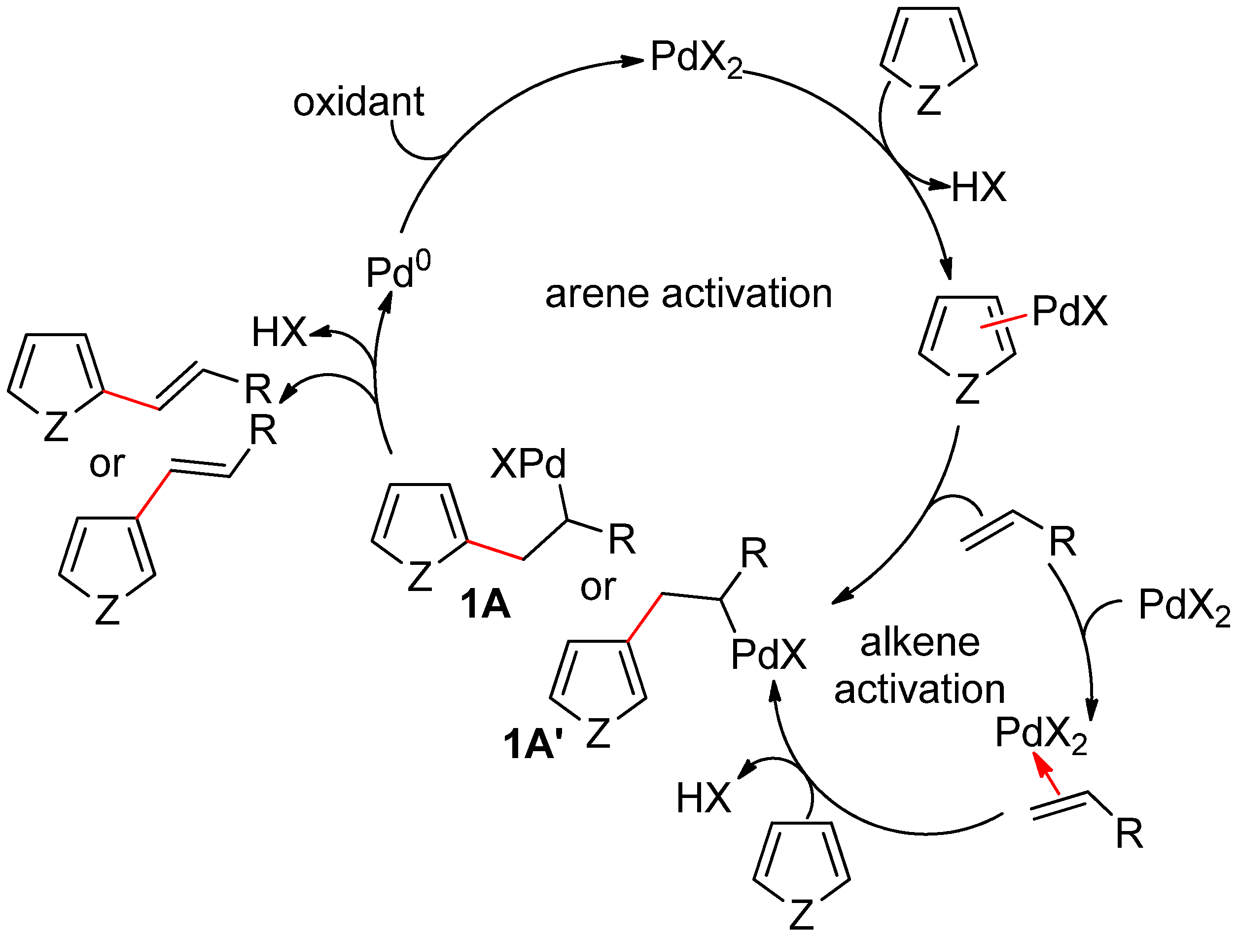 Catalysts 10 00571 sch001