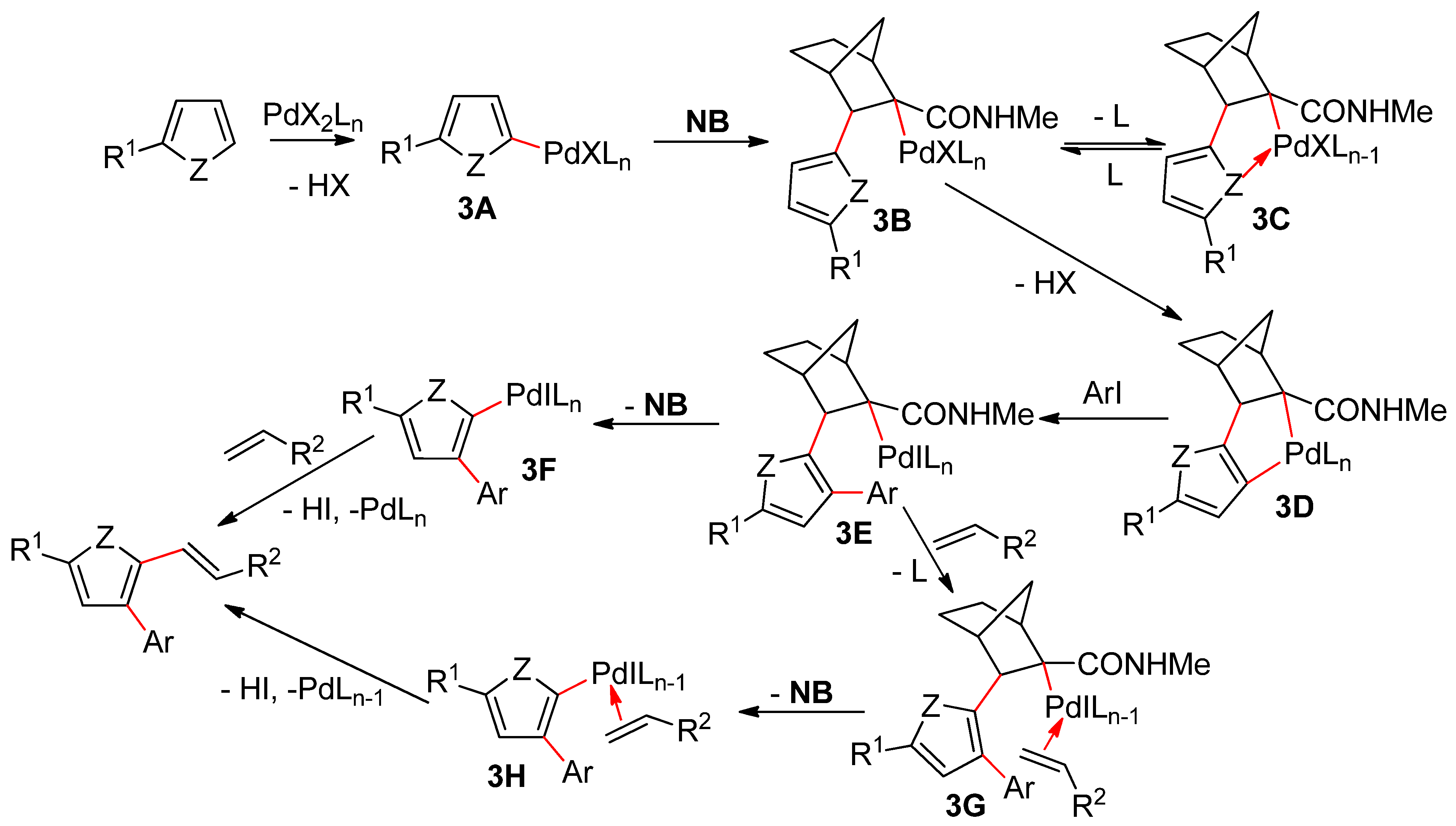 Catalysts 10 00571 sch003