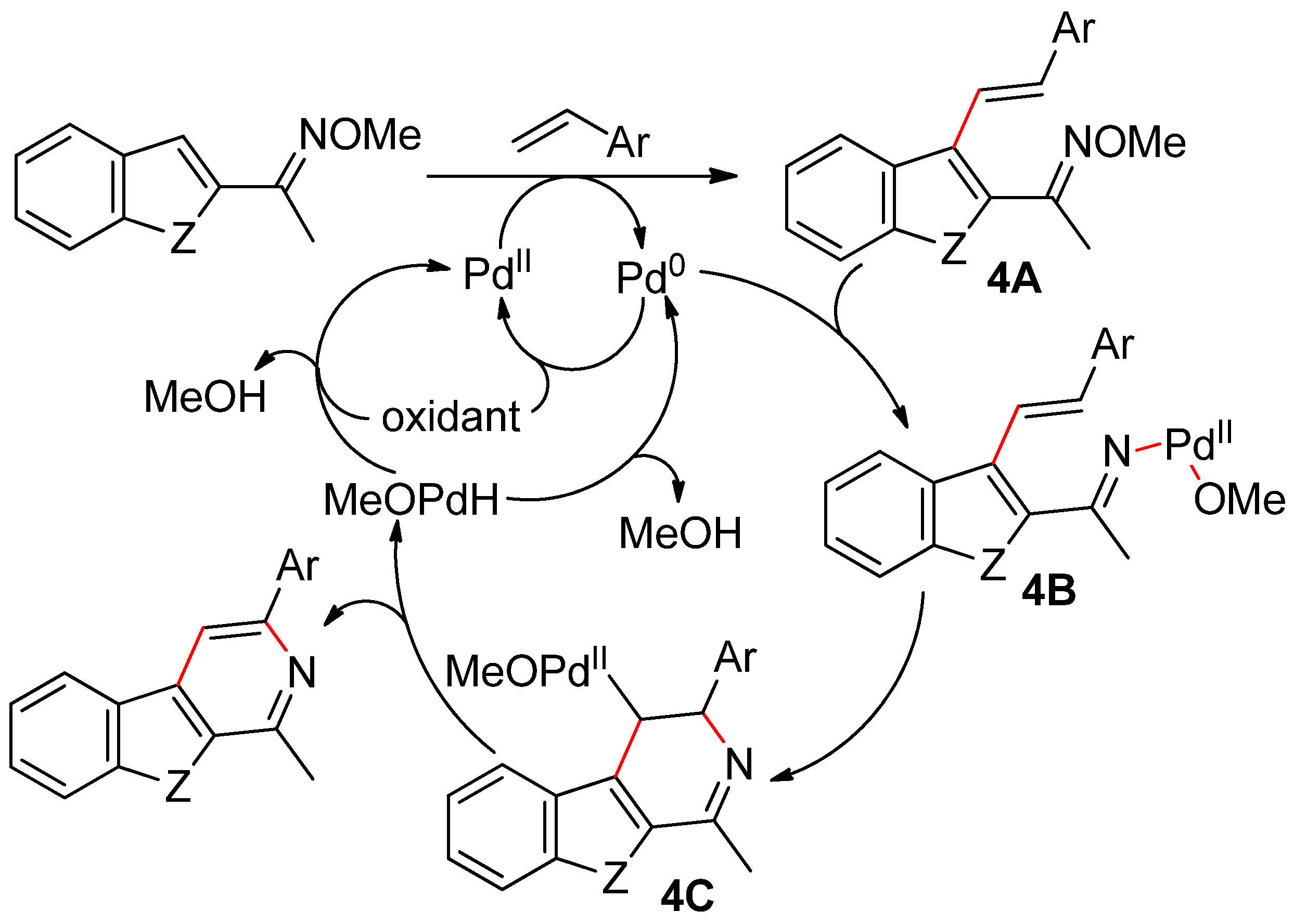 Catalysts 10 00571 sch004
