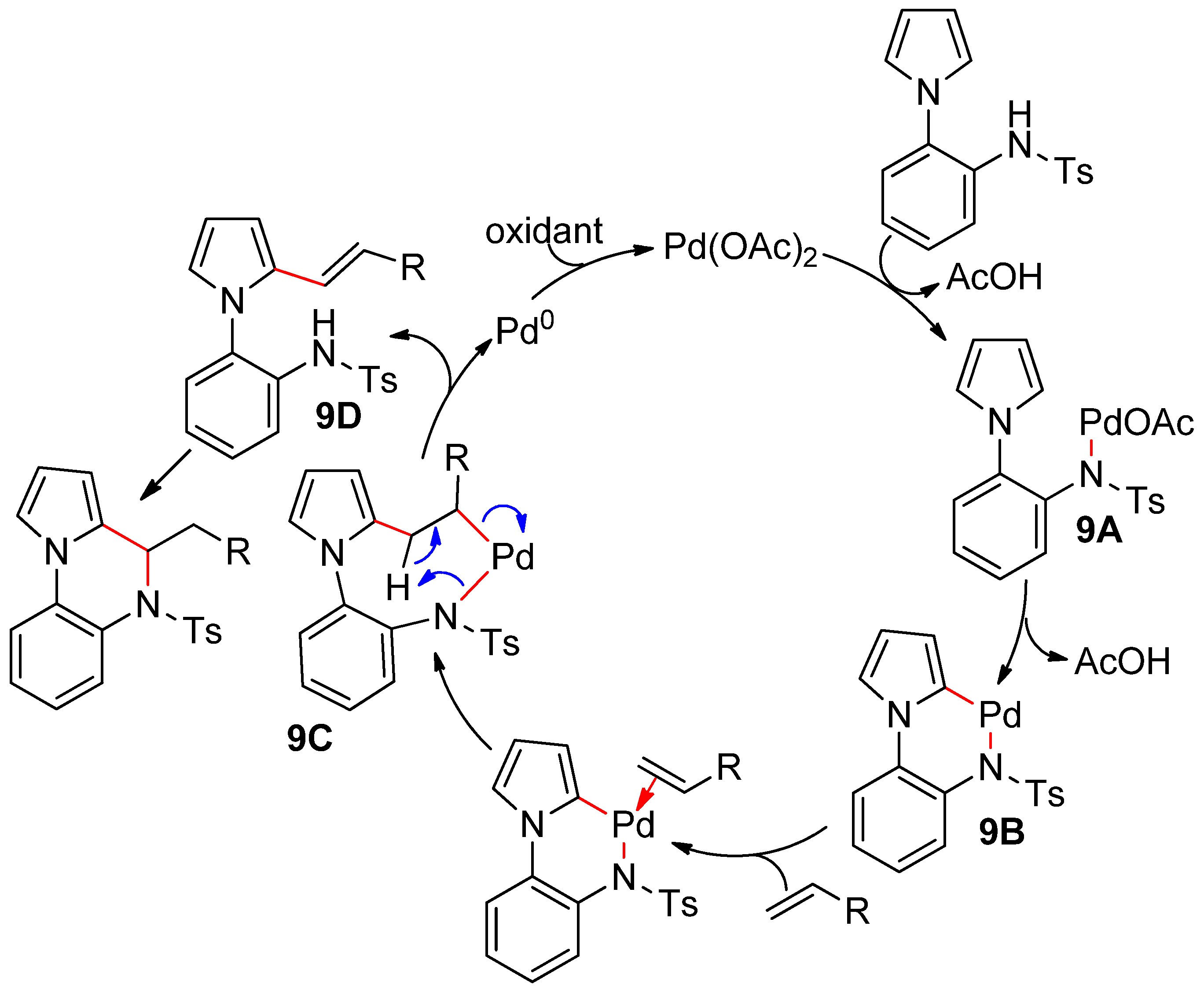 Catalysts 10 00571 sch009