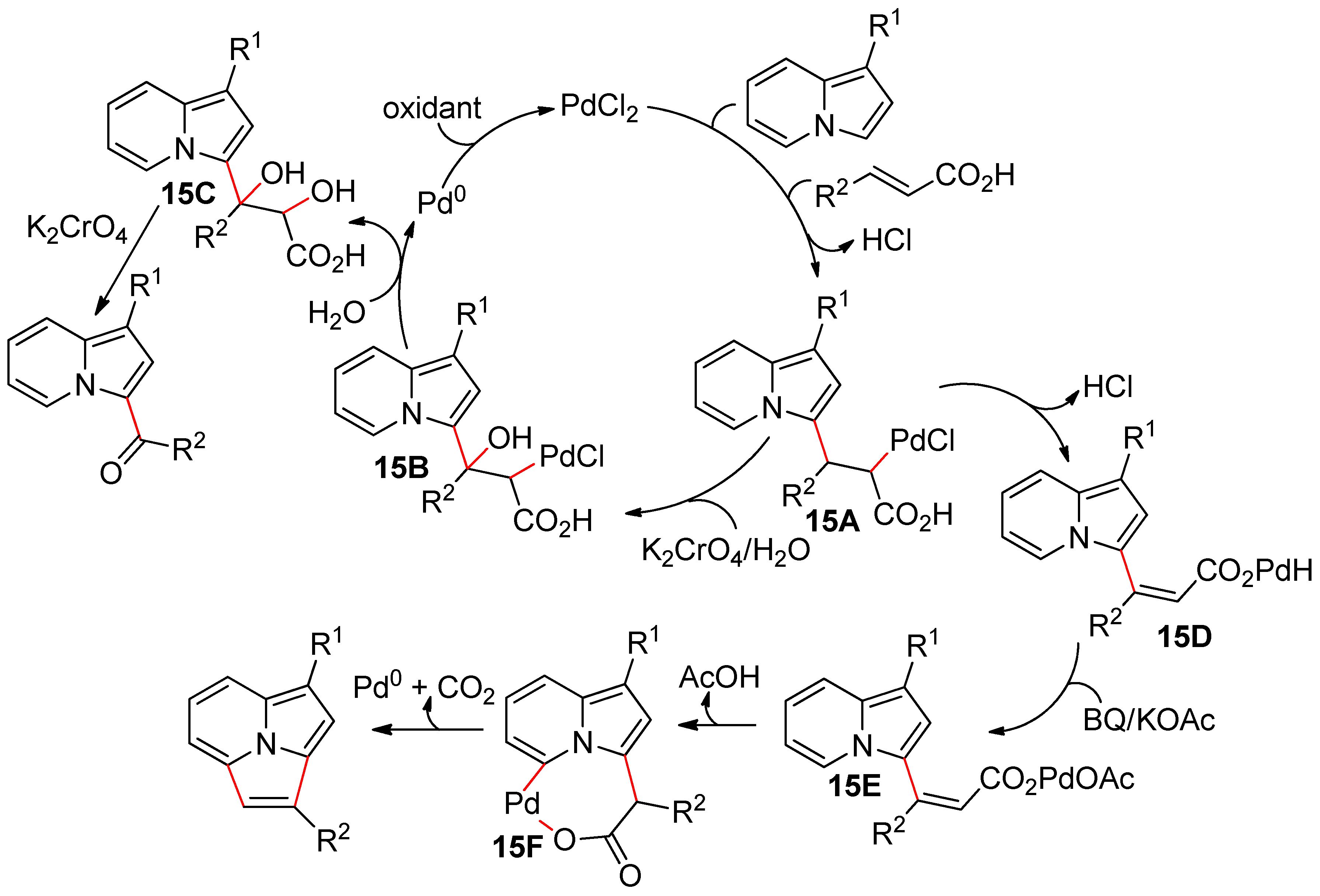 Catalysts 10 00571 sch015
