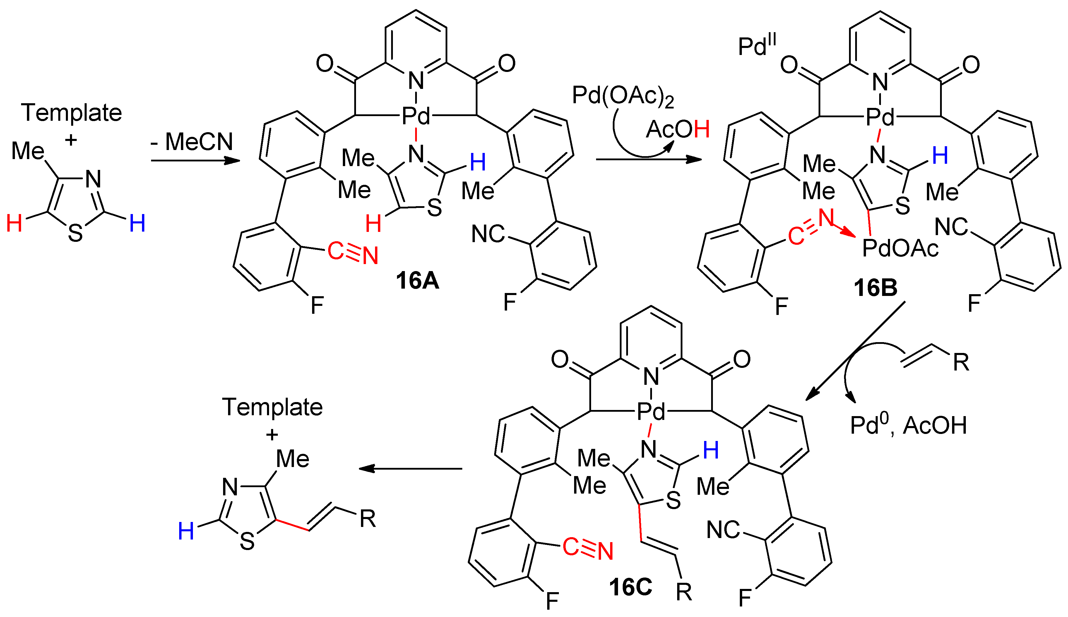 Catalysts 10 00571 sch016