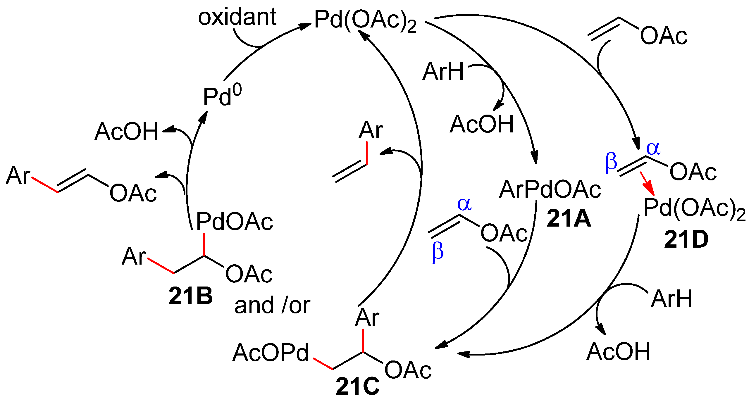 Catalysts 10 00571 sch021