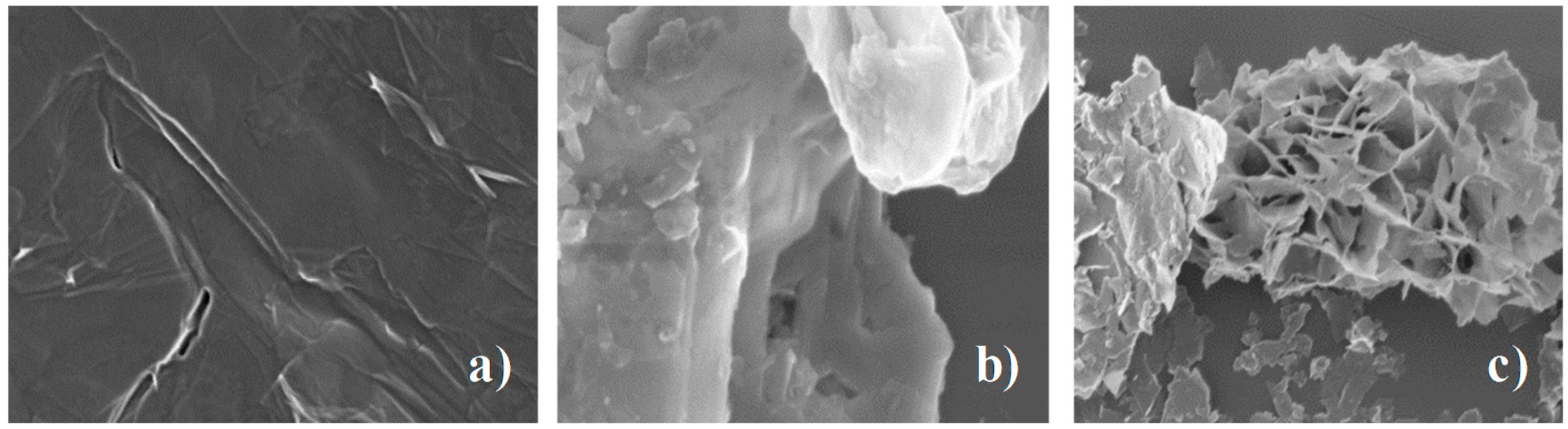 Catalysts 10 00573 g002