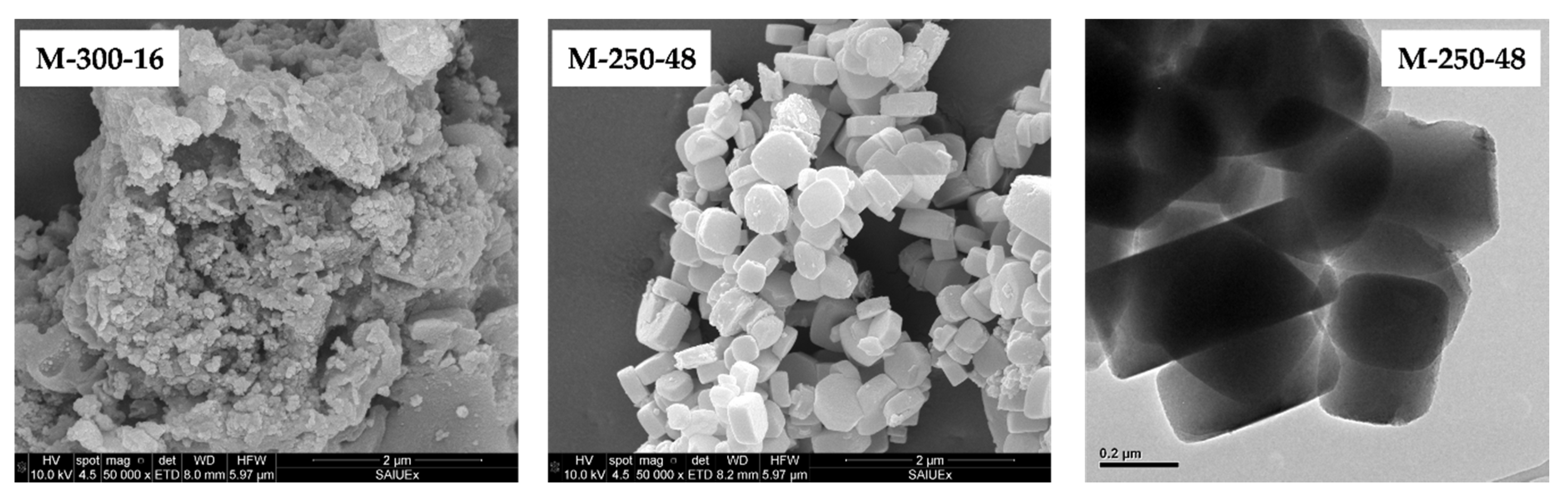 Catalysts 10 00603 g008