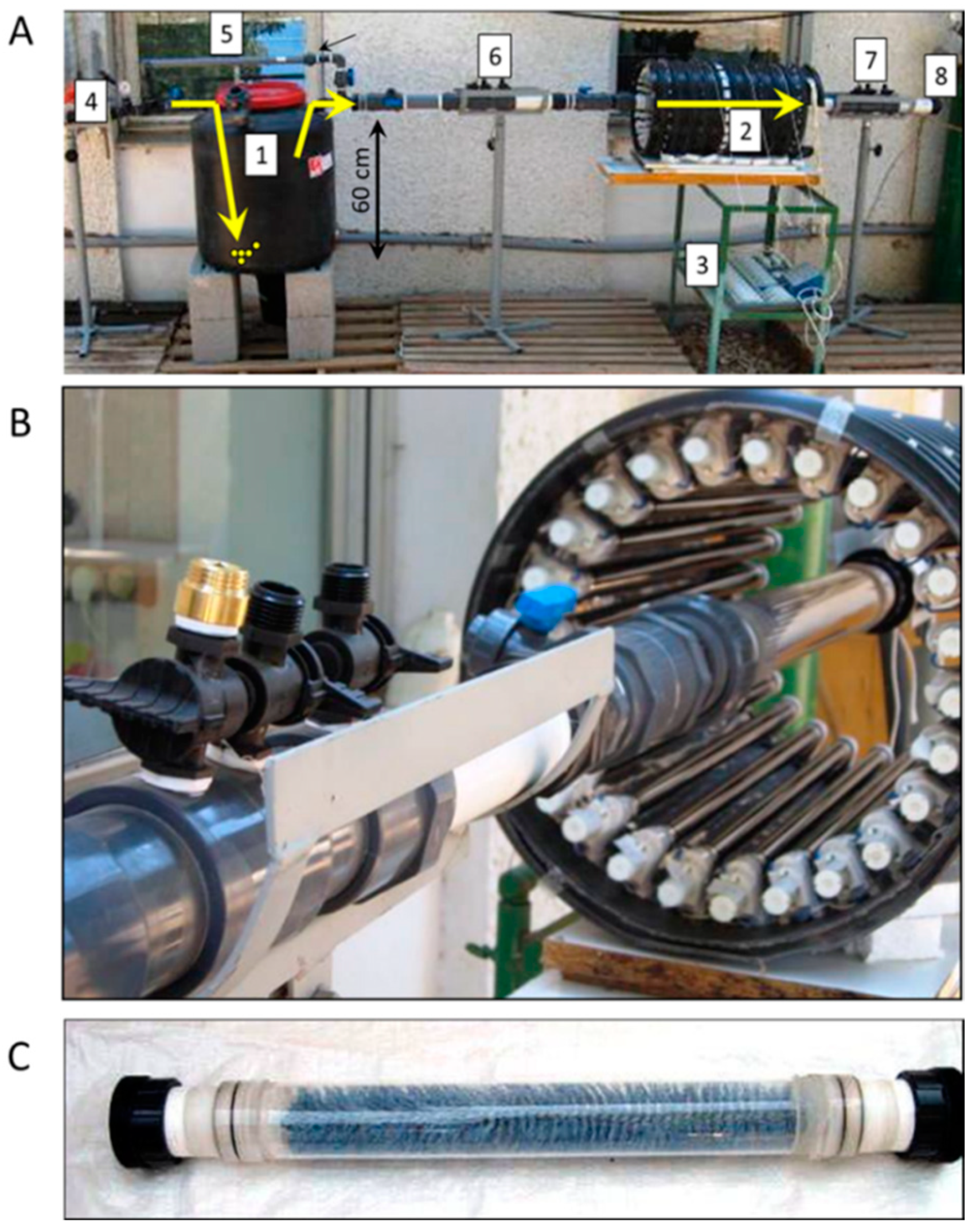 Catalysts 10 00607 g007