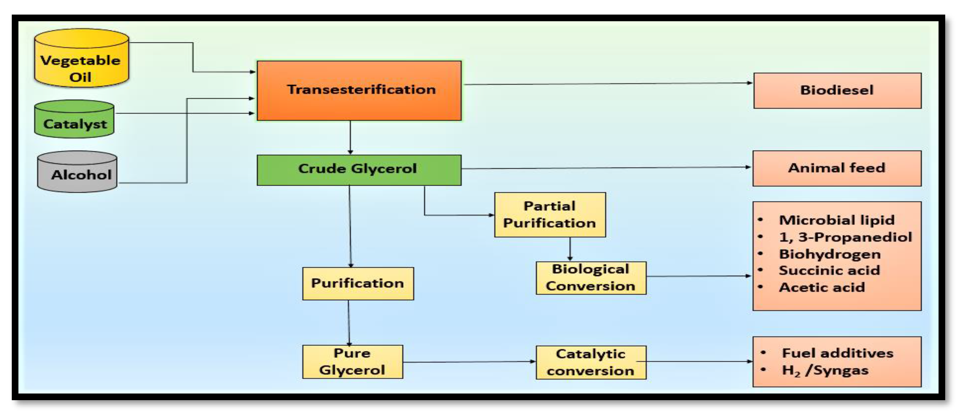 Catalysts 10 00609 g001