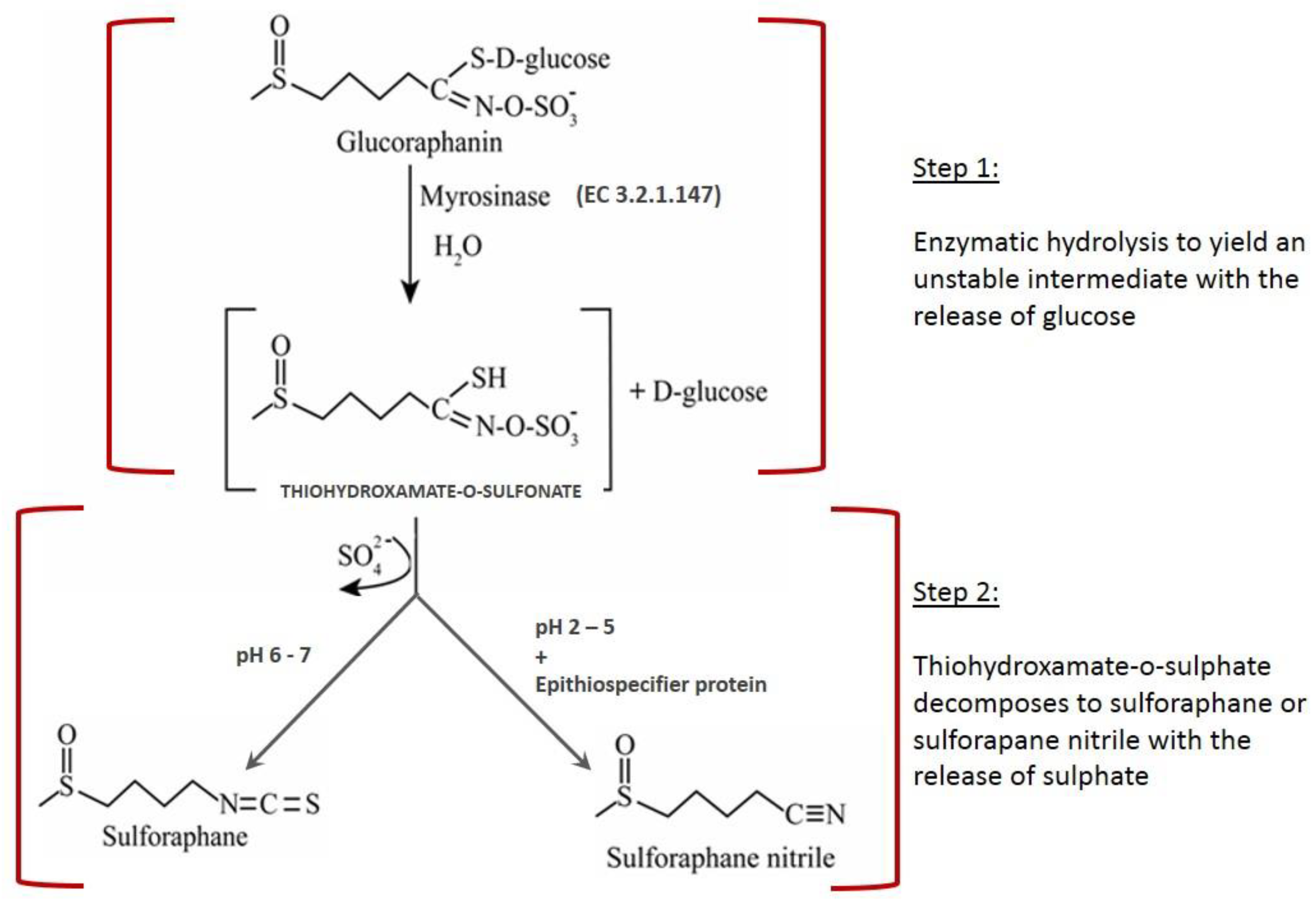 Catalysts 10 00616 g001 Catalysts 10 00616 g001