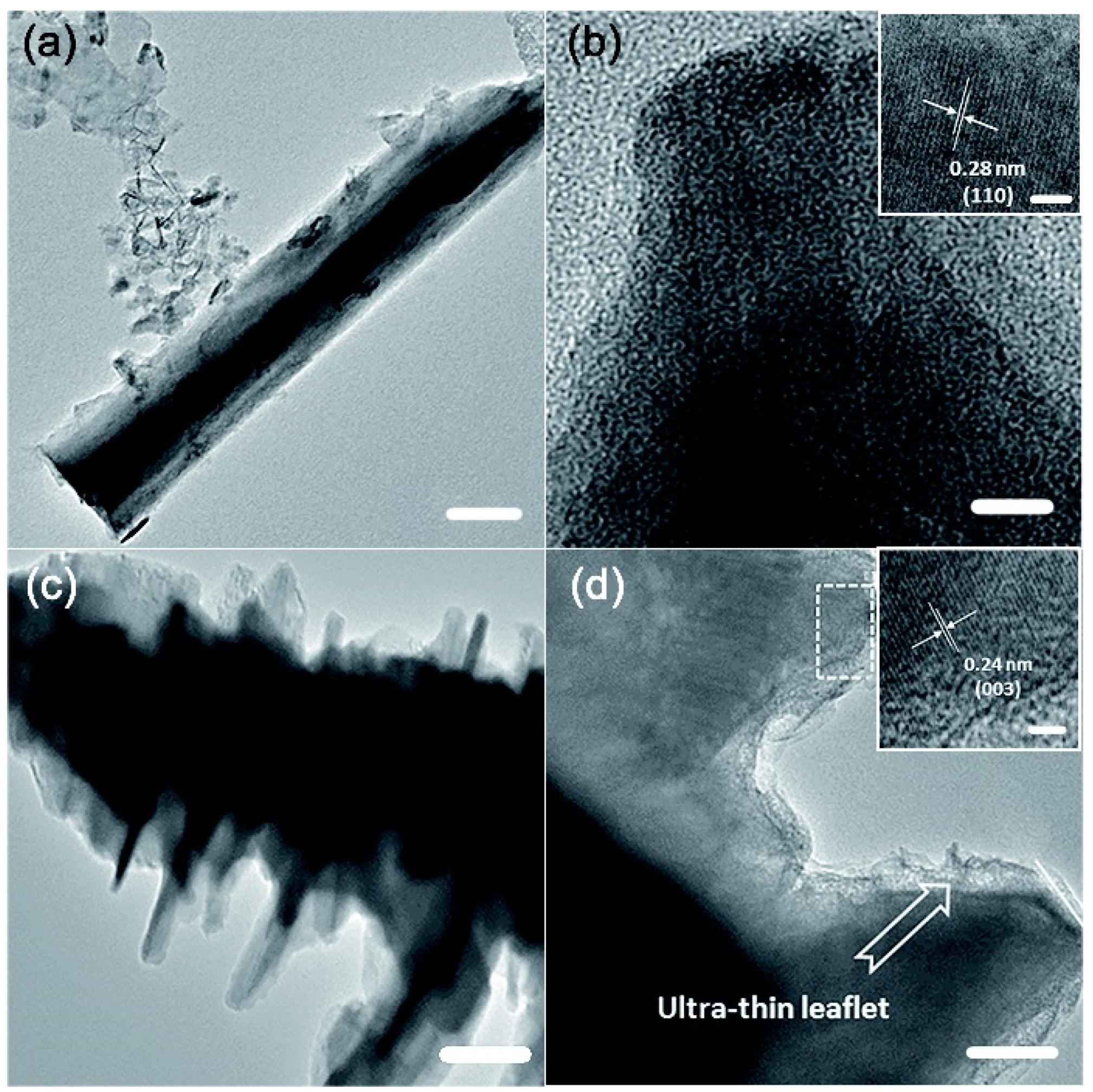 Catalysts 10 00621 g010