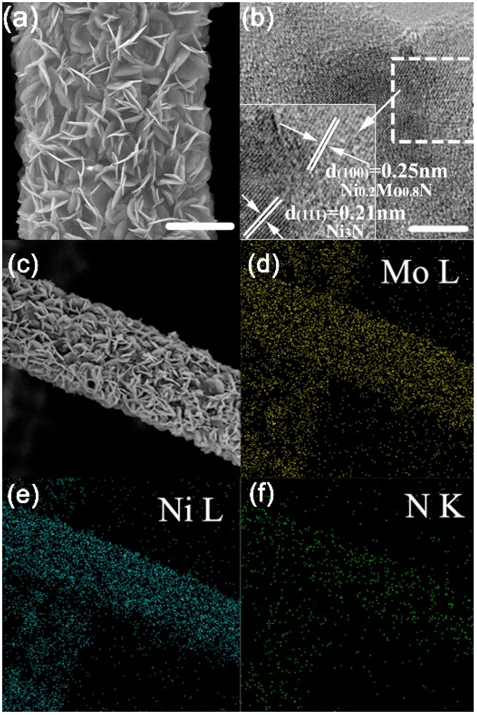 Catalysts 10 00621 g014