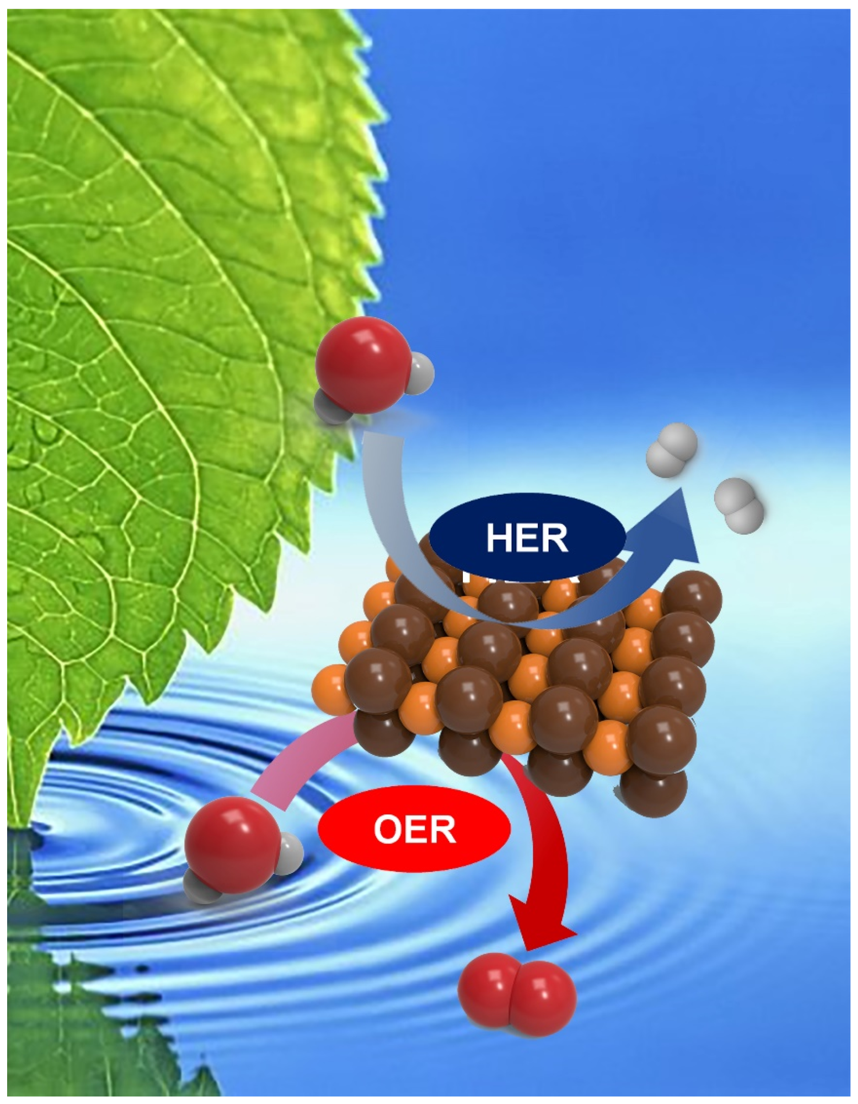 Catalysts 10 00621 sch002