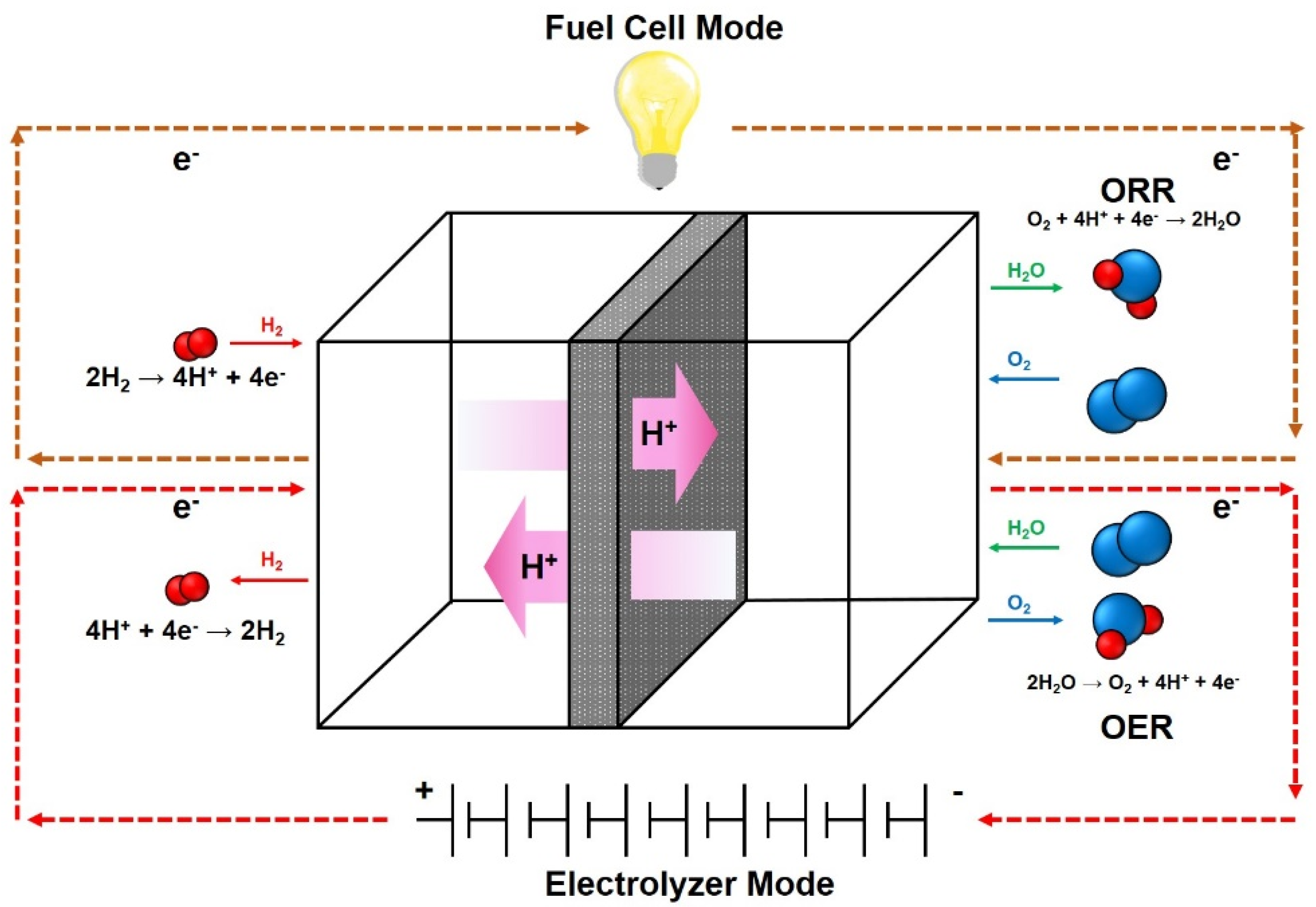Catalysts 10 00621 sch004