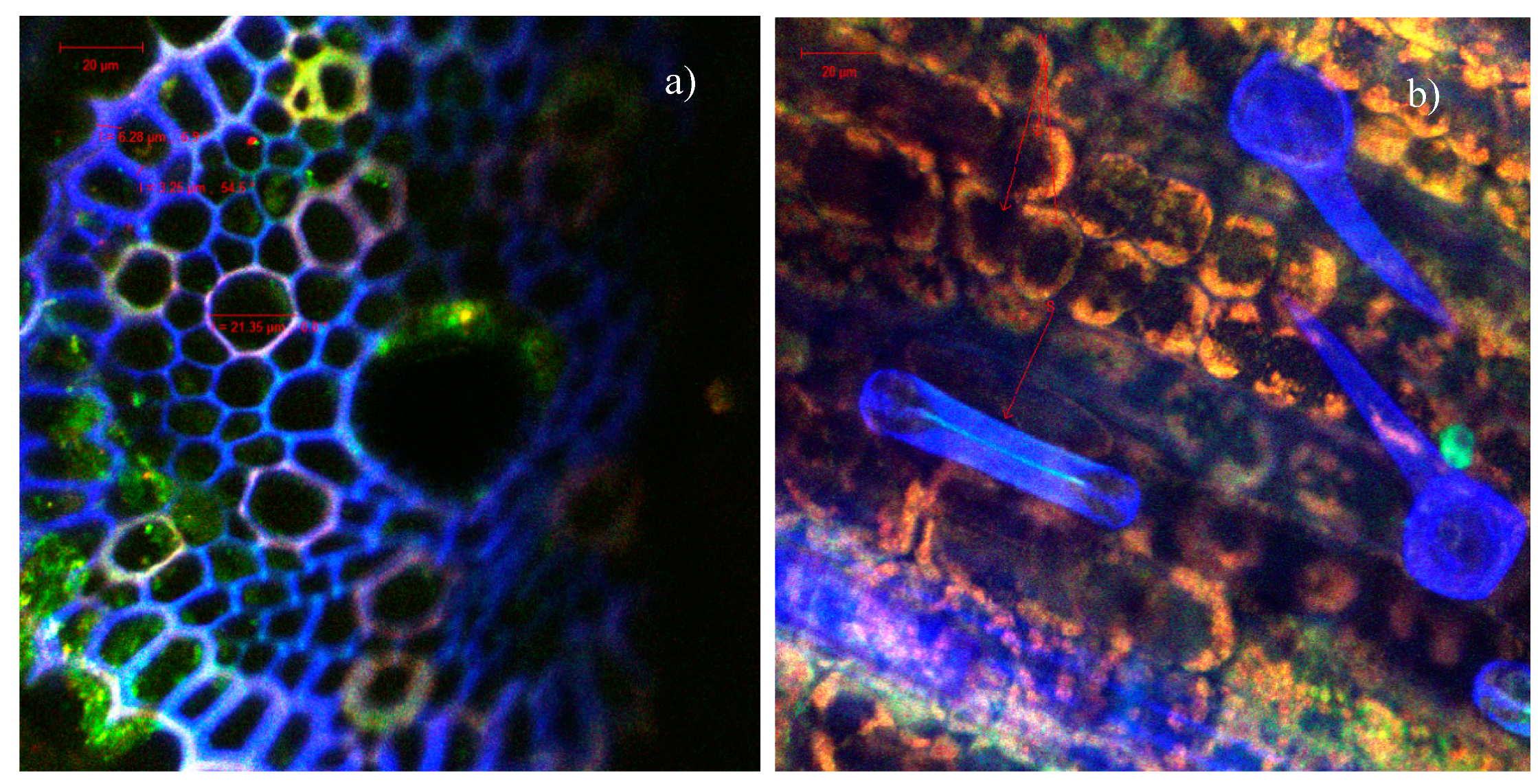 Catalysts 10 00629 g008