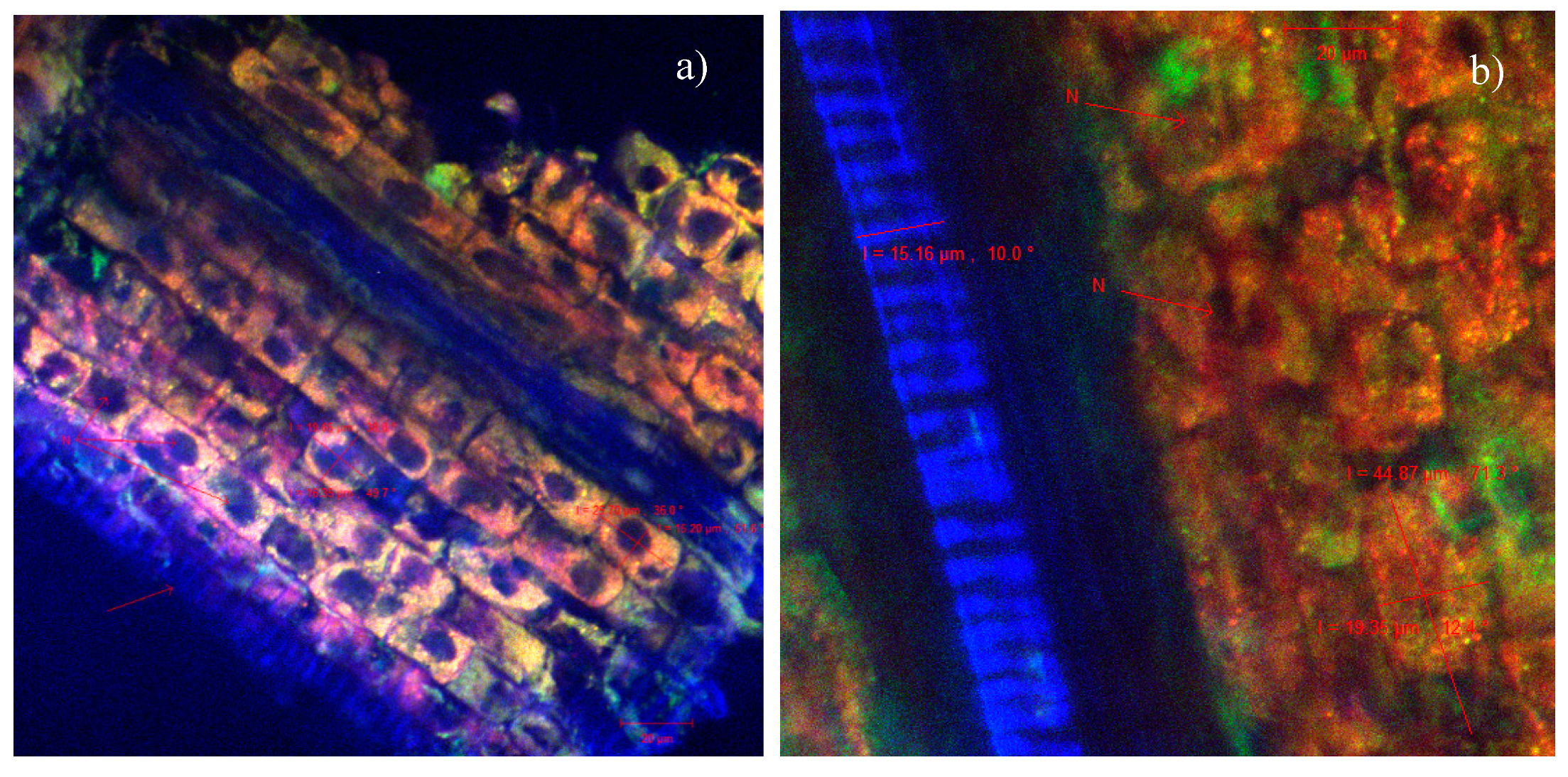 Catalysts 10 00629 g009