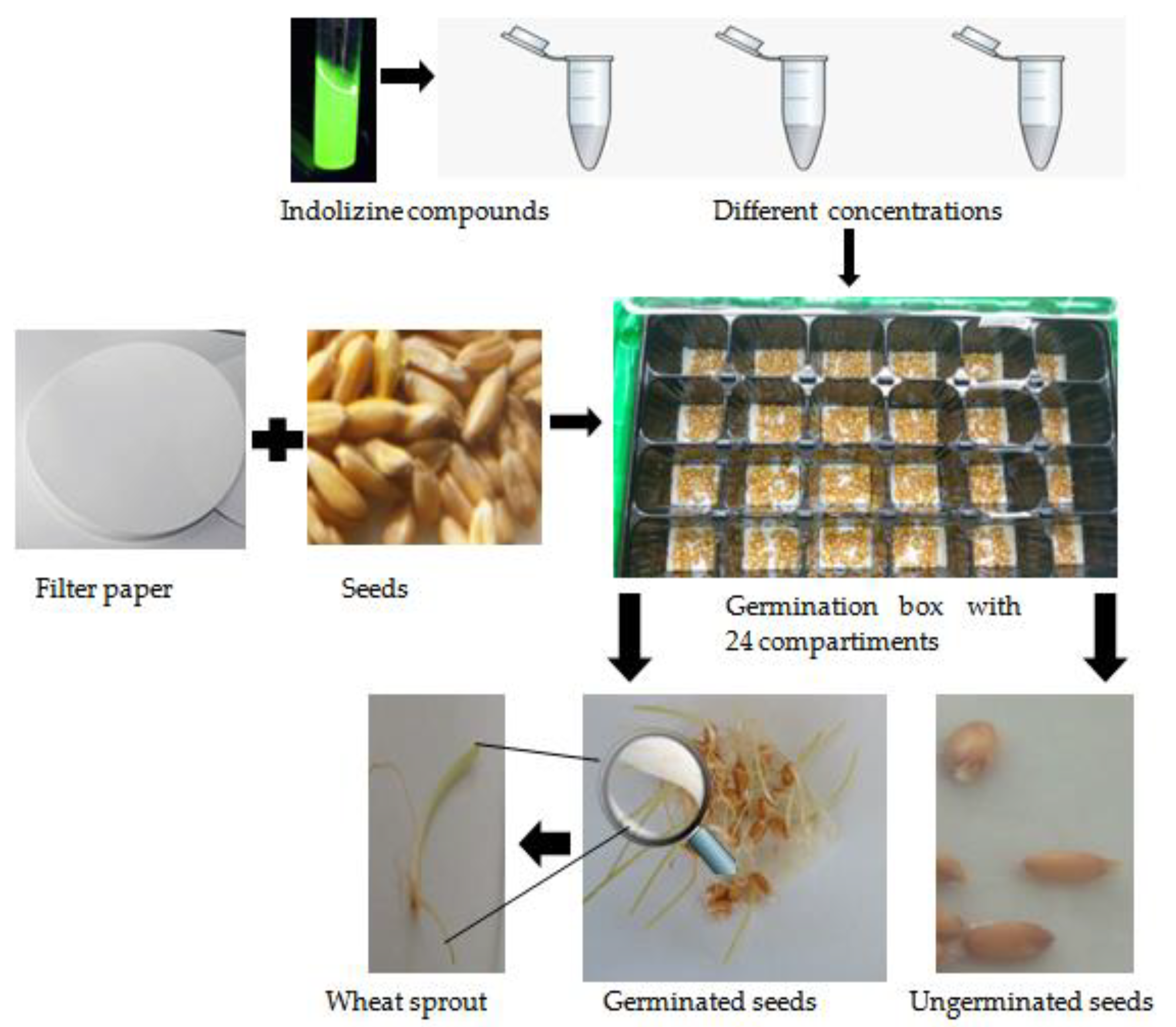 Catalysts 10 00629 g010