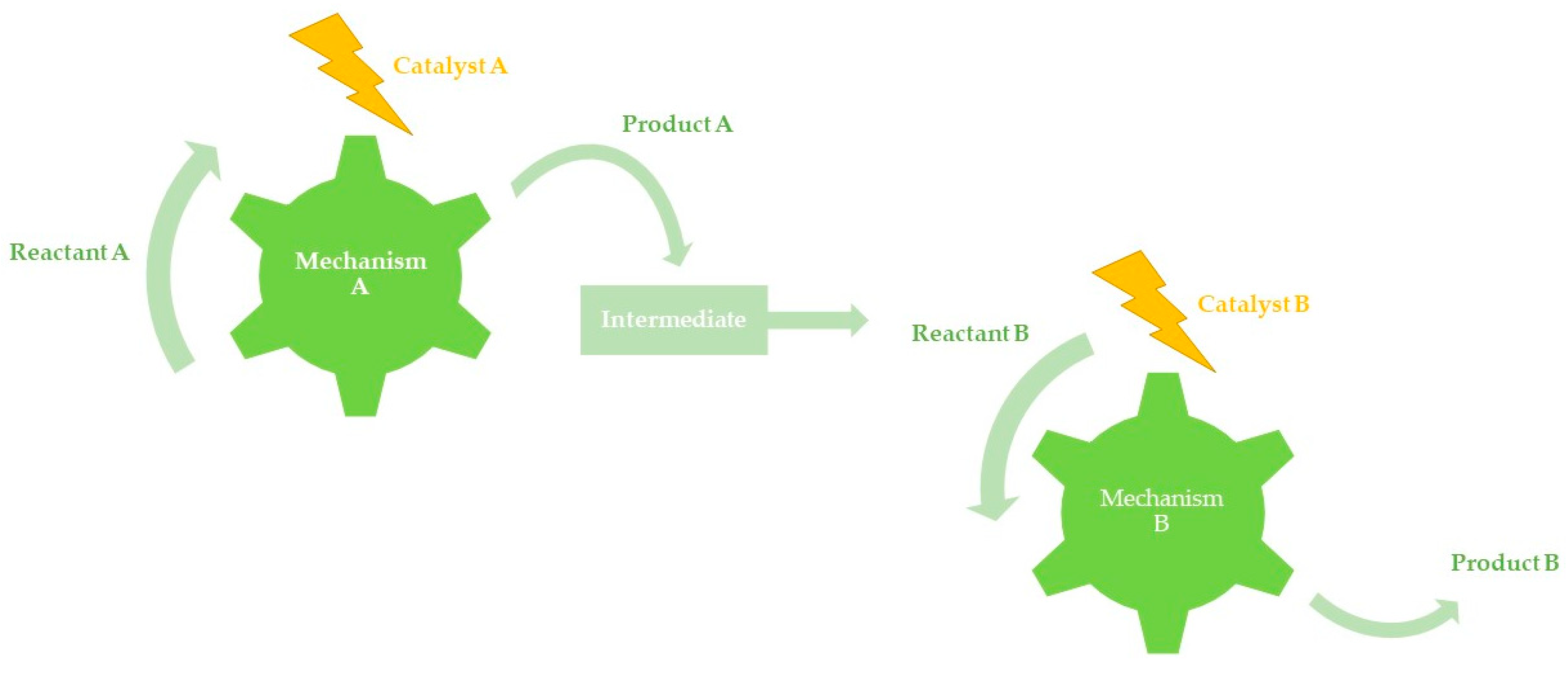 Catalysts 10 00631 g002