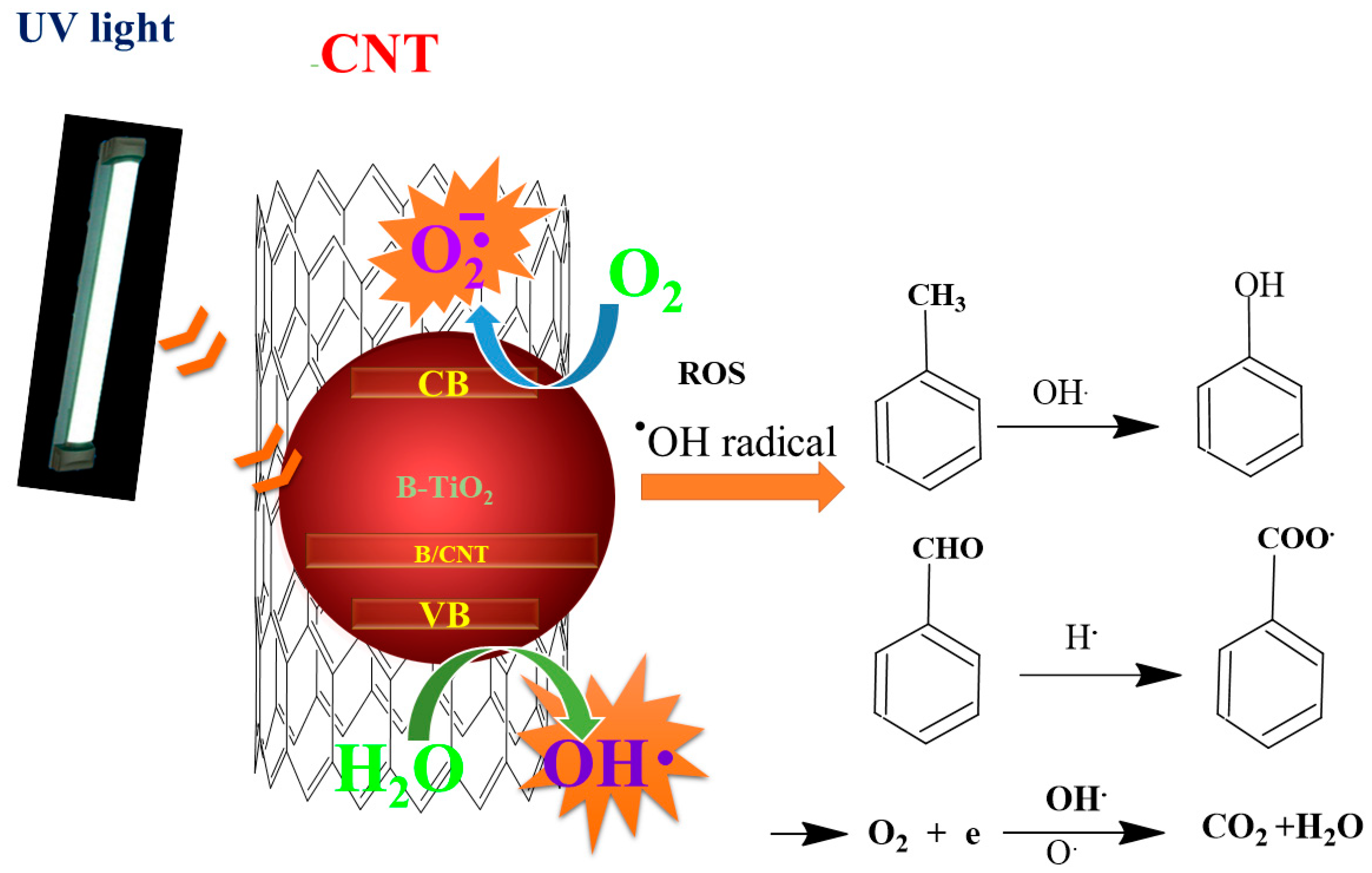 Catalysts 10 00632 g008