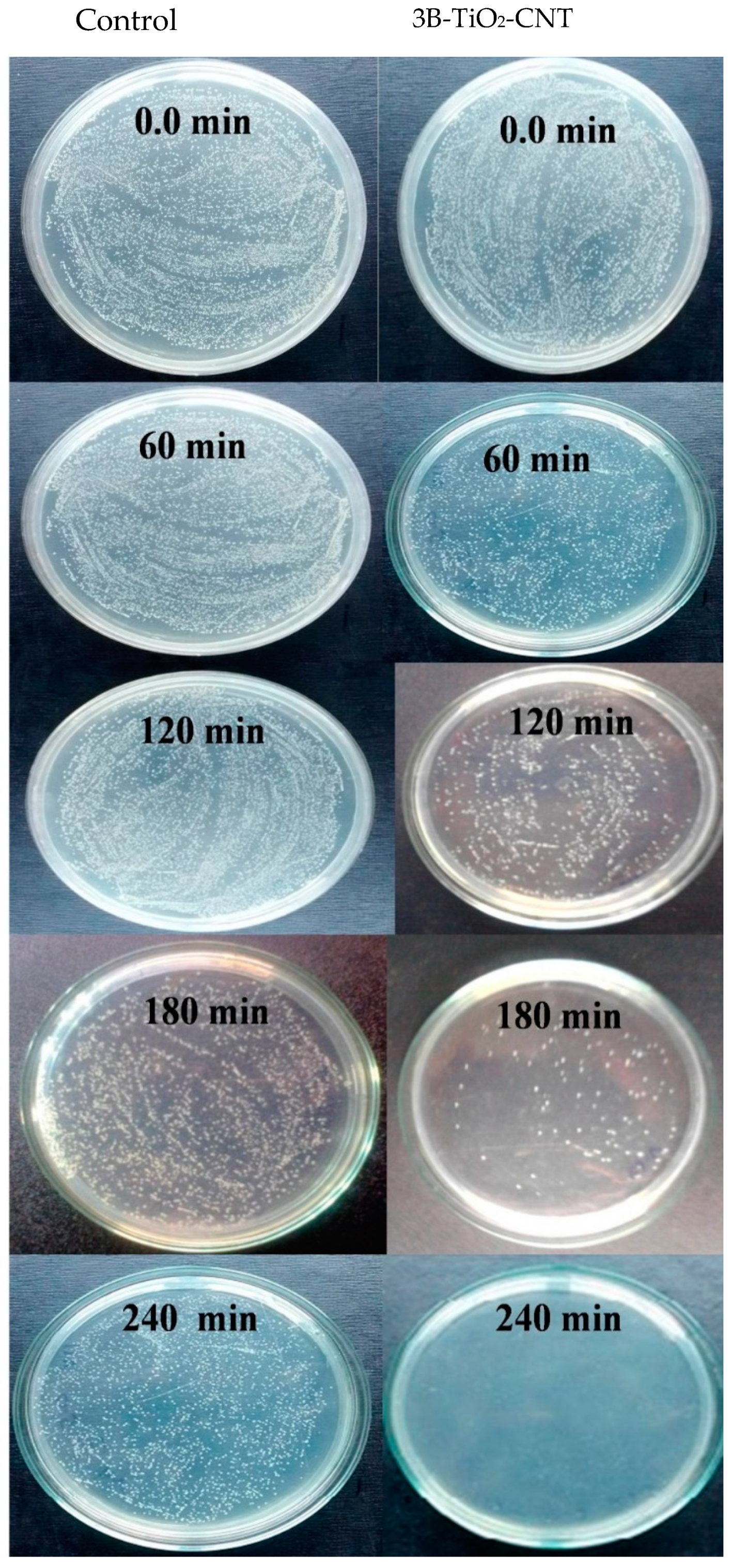 Catalysts 10 00632 g011
