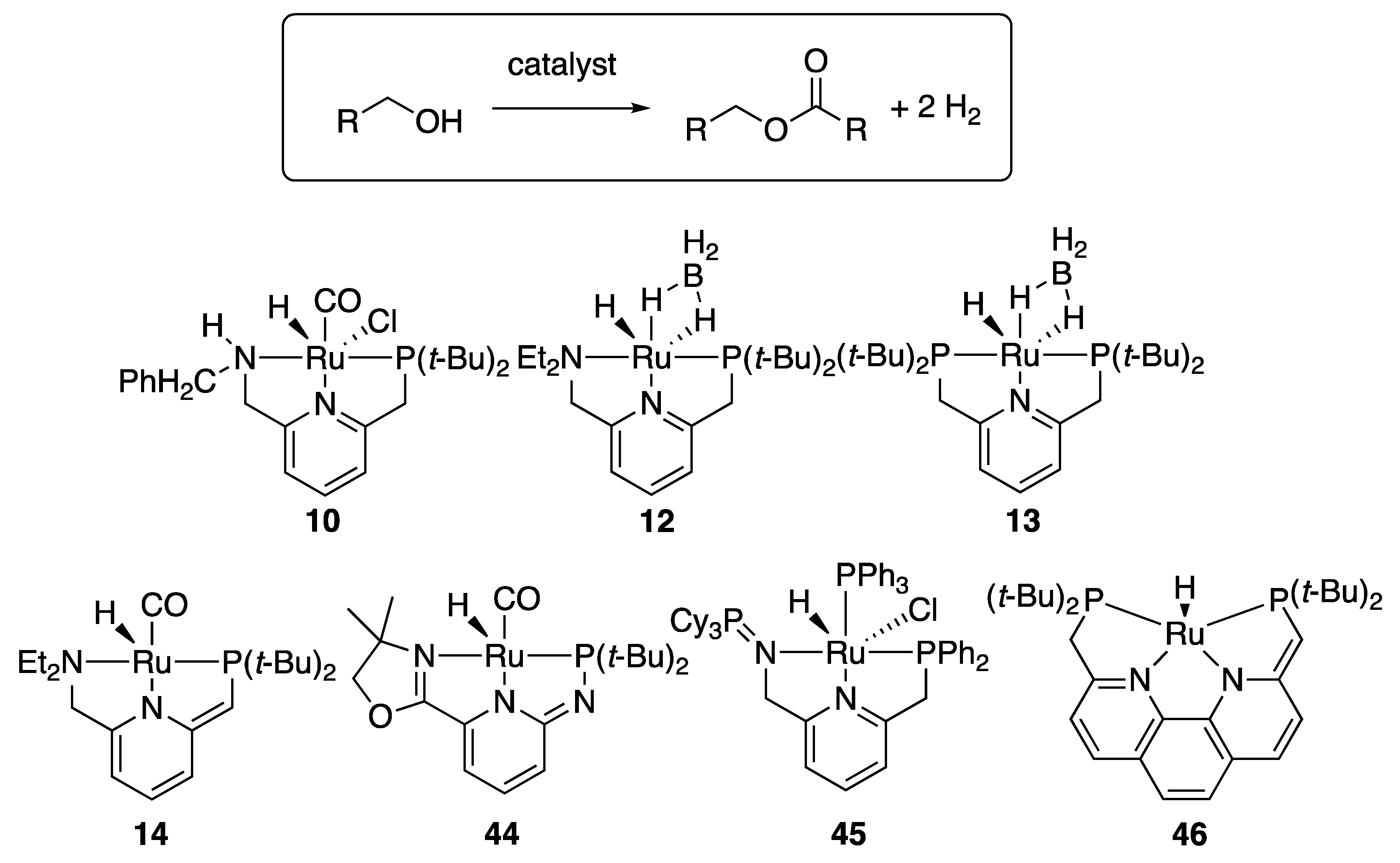 Catalysts 10 00635 g003