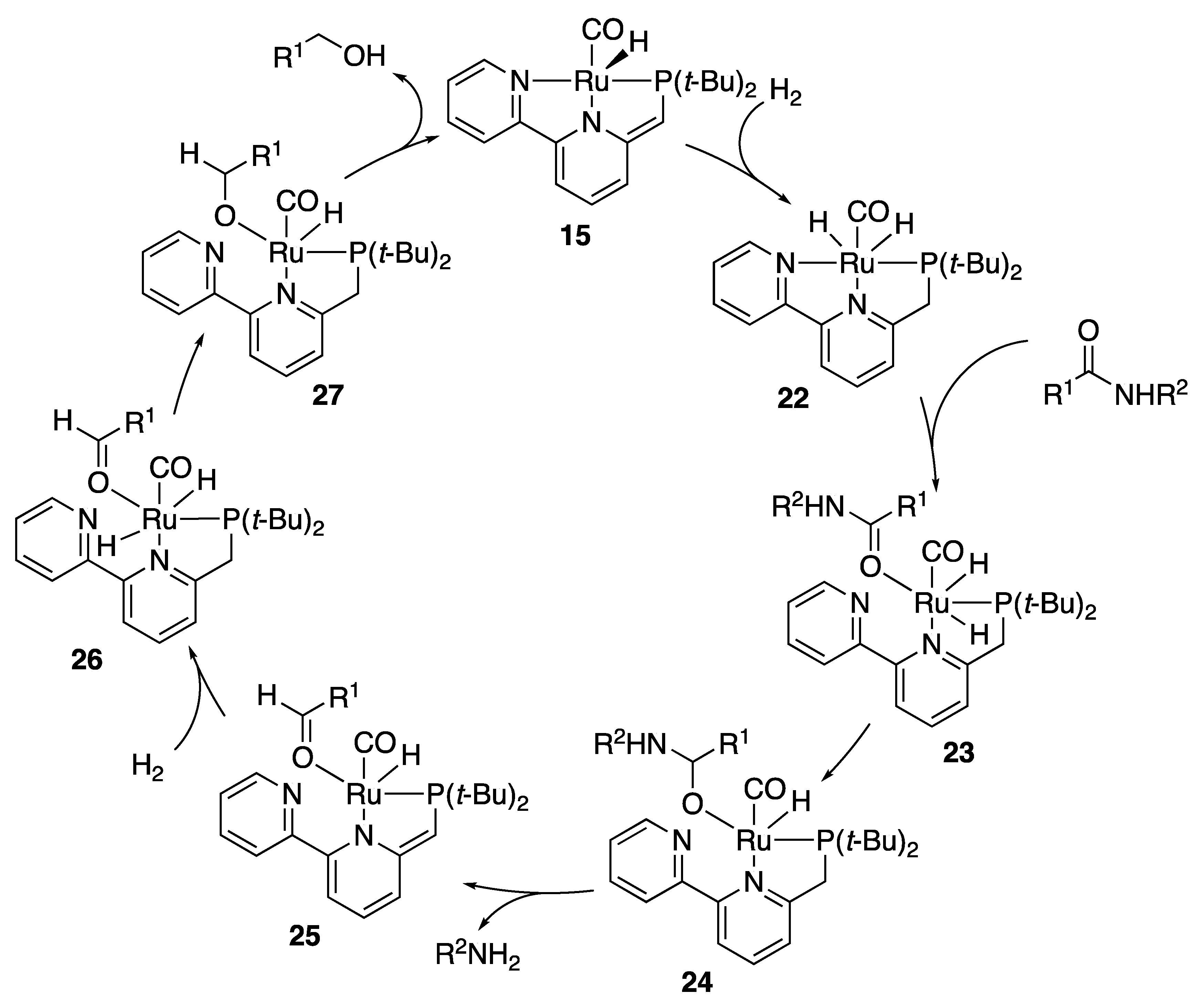 Catalysts 10 00635 sch011