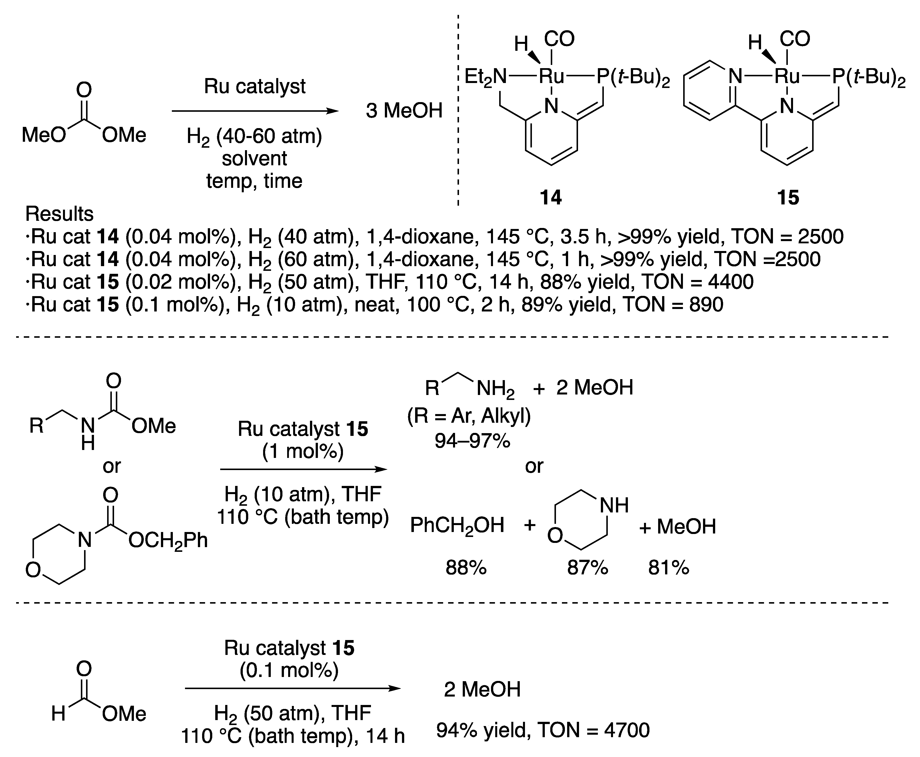 Catalysts 10 00635 sch014
