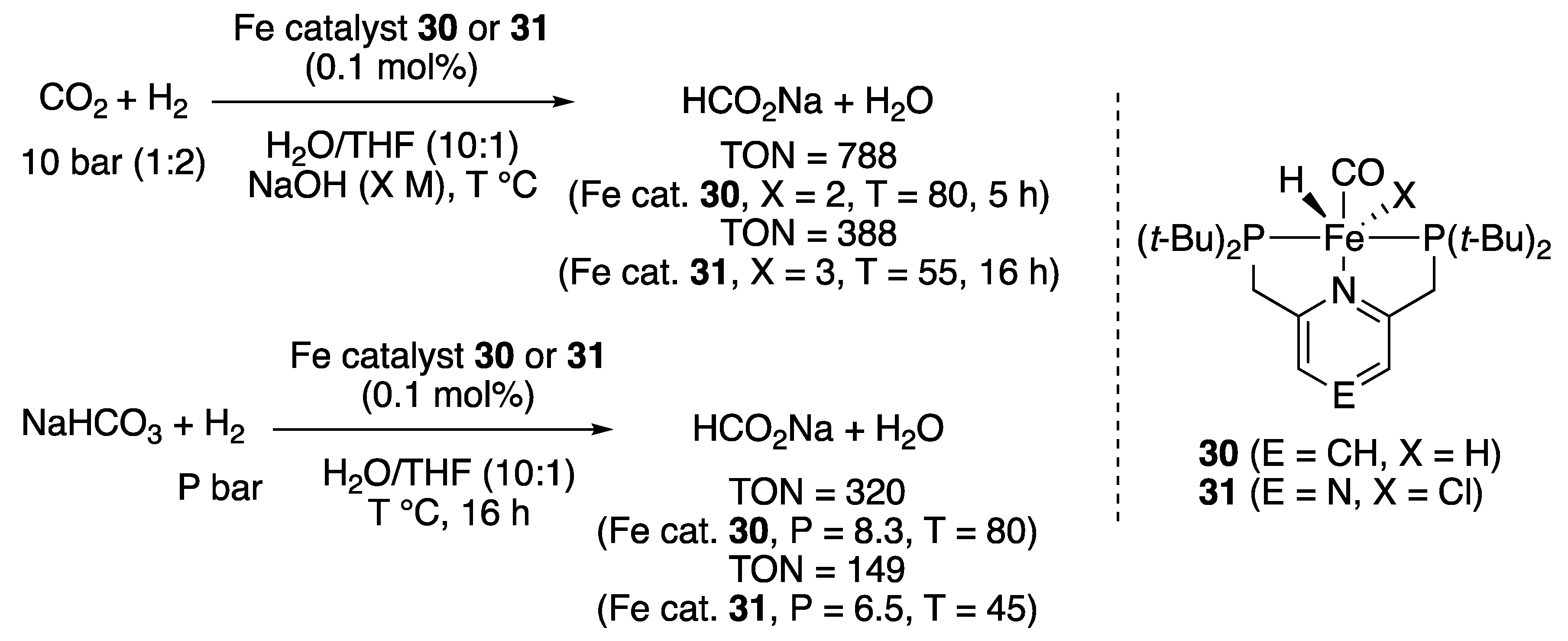 Catalysts 10 00635 sch016