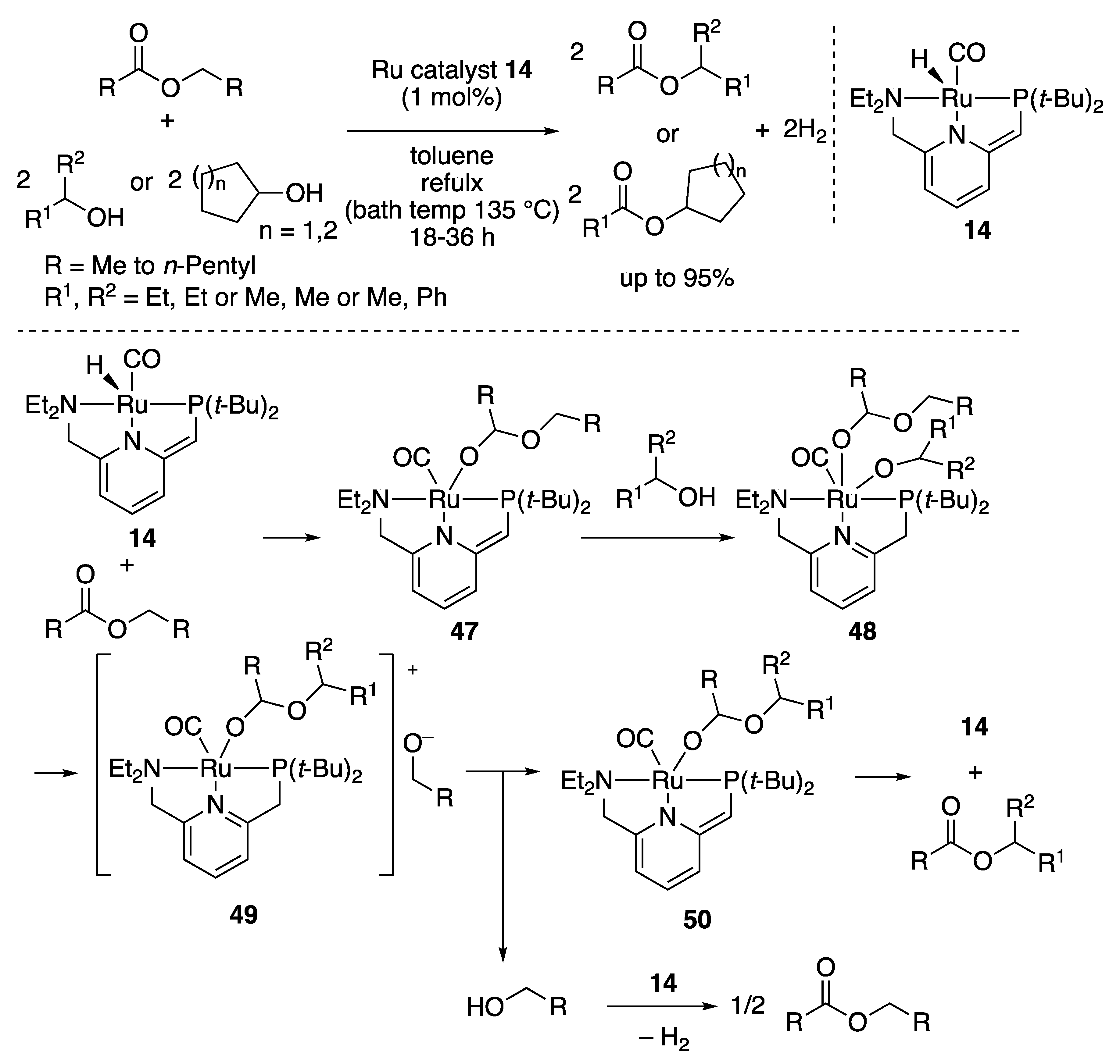 Catalysts 10 00635 sch025