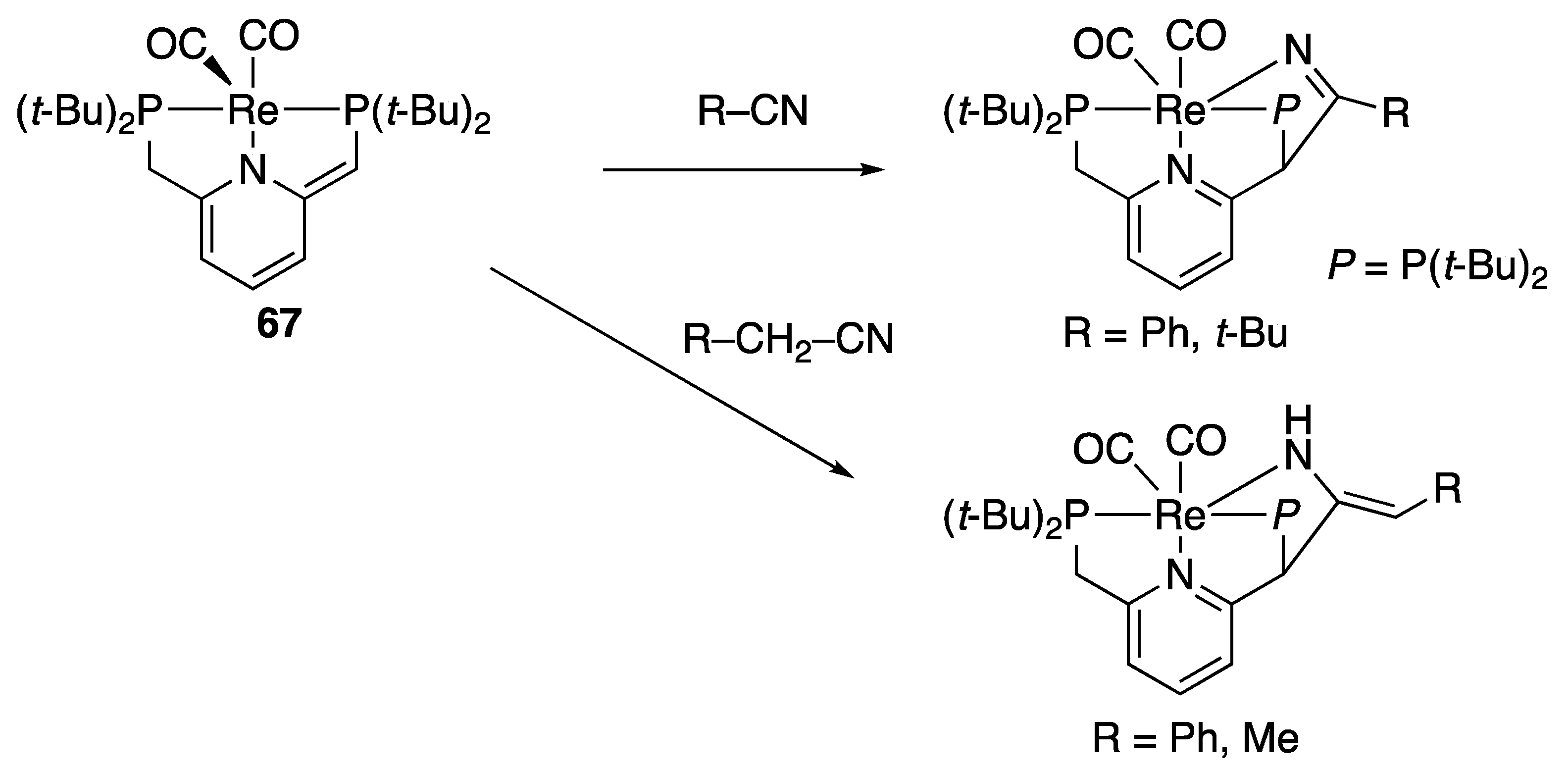 Catalysts 10 00635 sch046