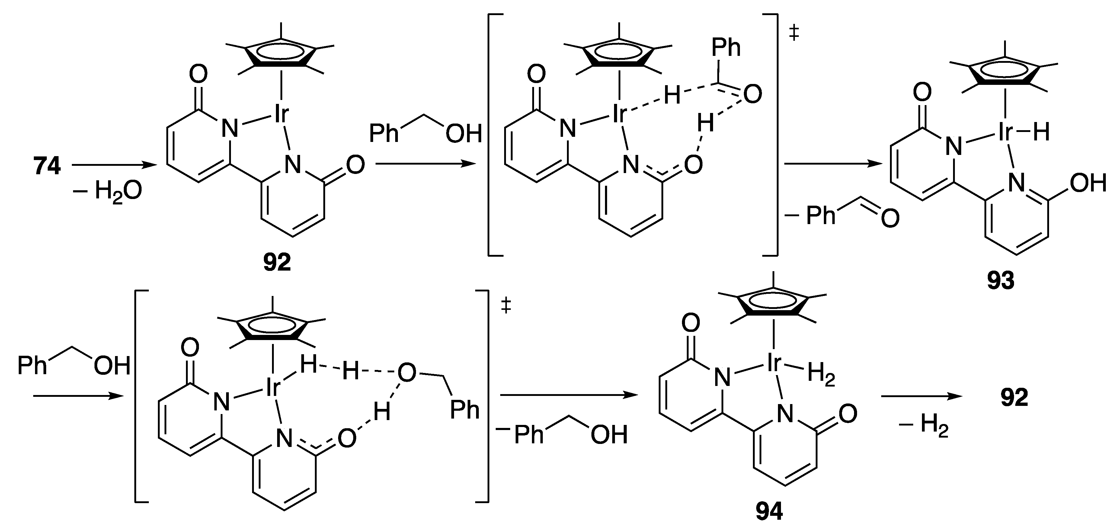 Catalysts 10 00635 sch064