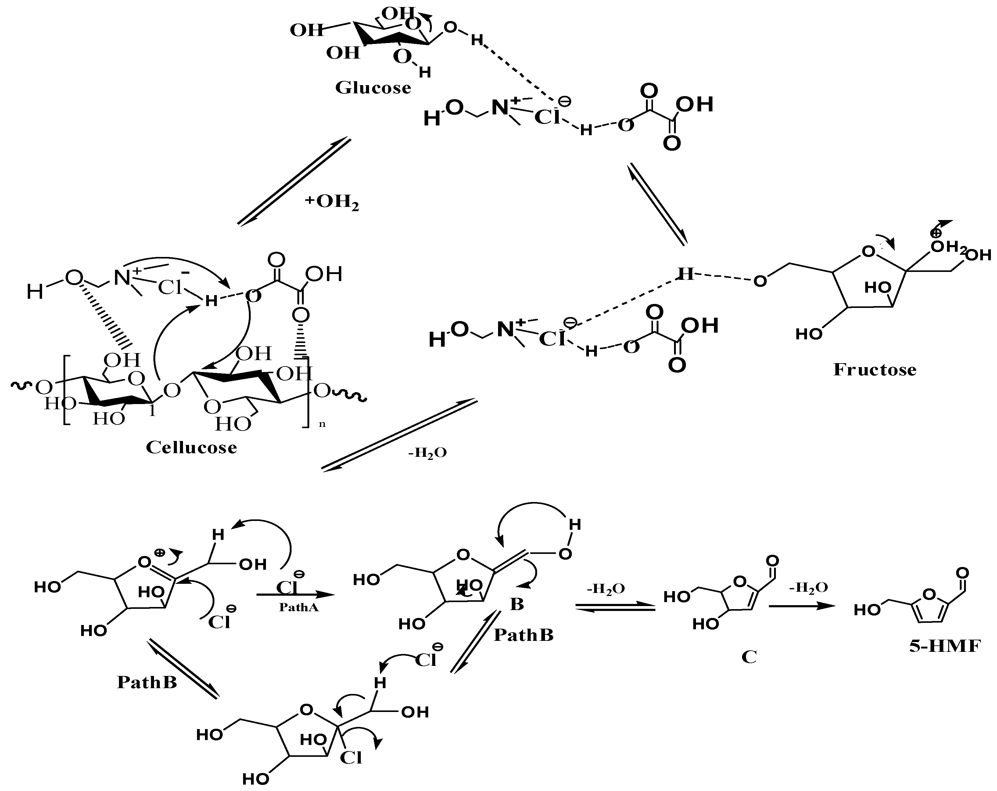 Catalysts 10 00636 g005