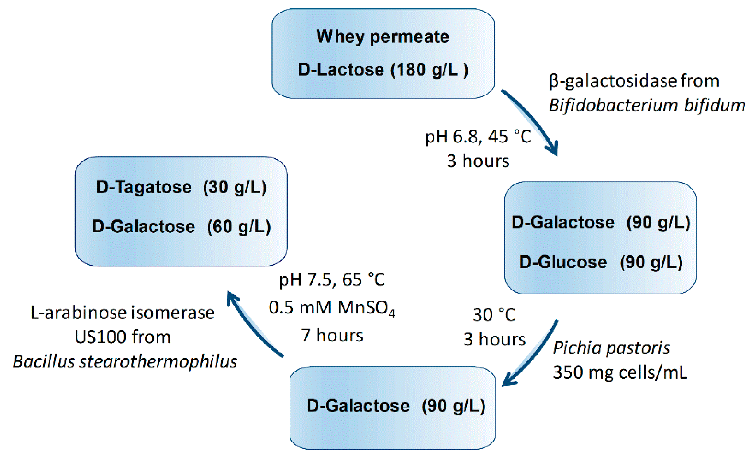 Catalysts 10 00647 g008 Catalysts 10 00647 g008