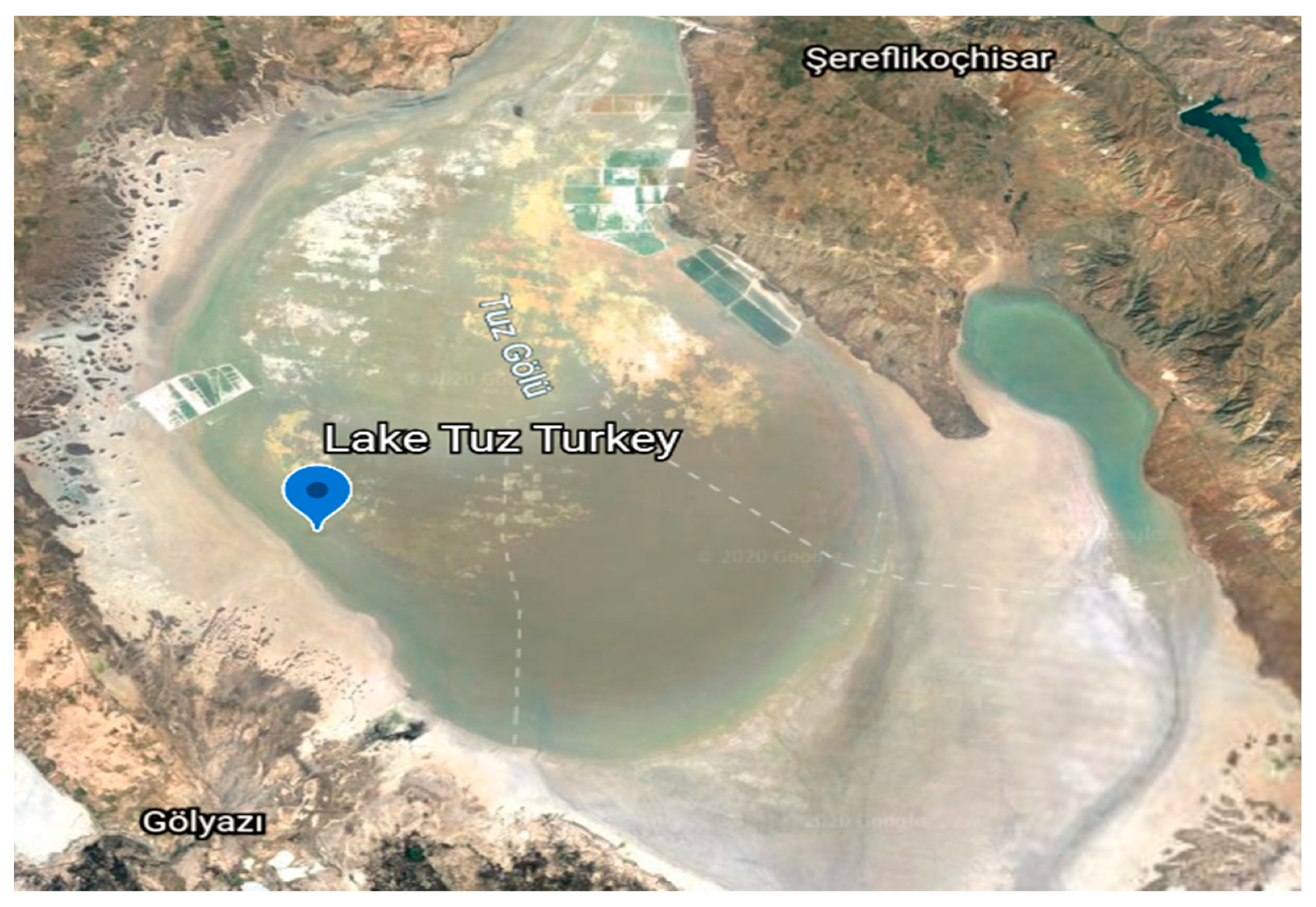 Catalysts 10 00651 g007