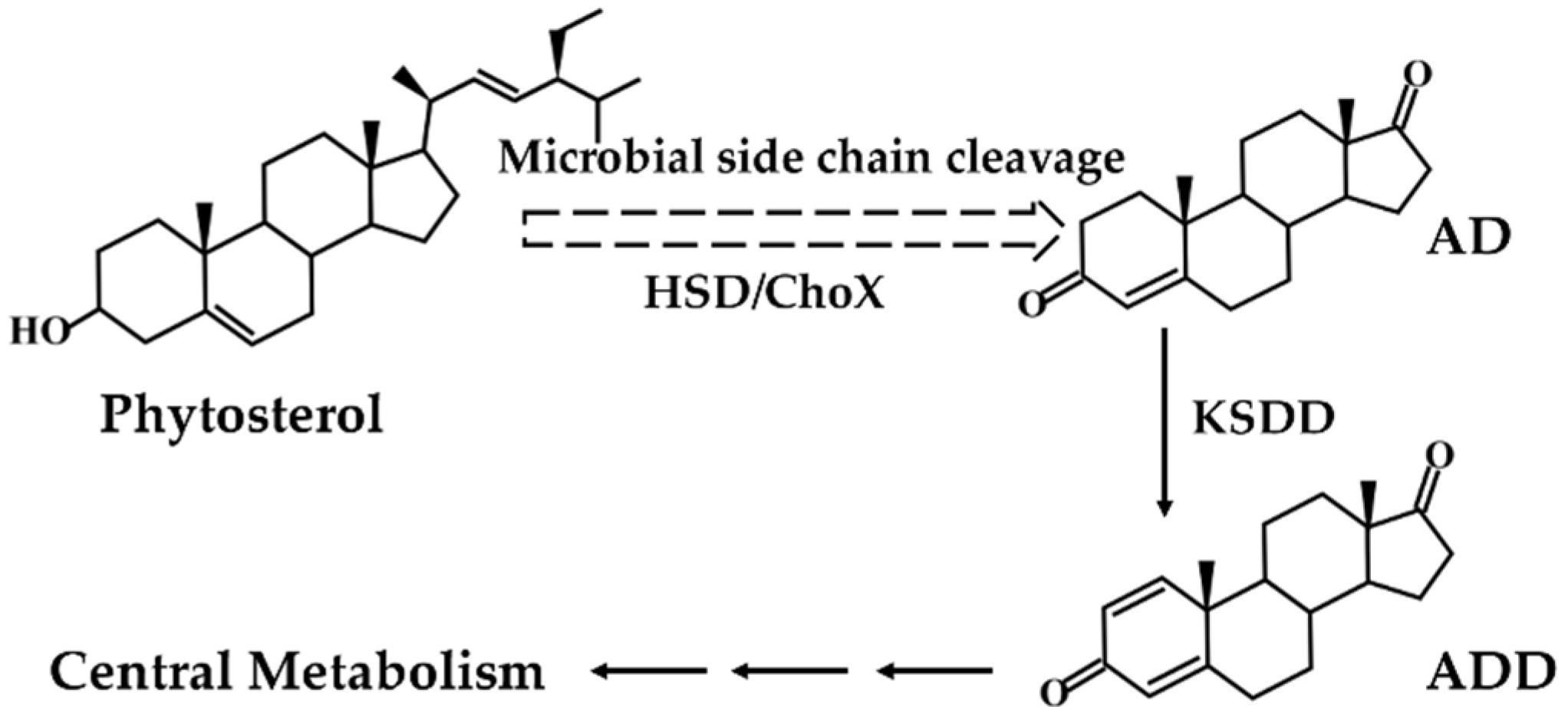 Catalysts 10 00663 g001 Catalysts 10 00663 g001