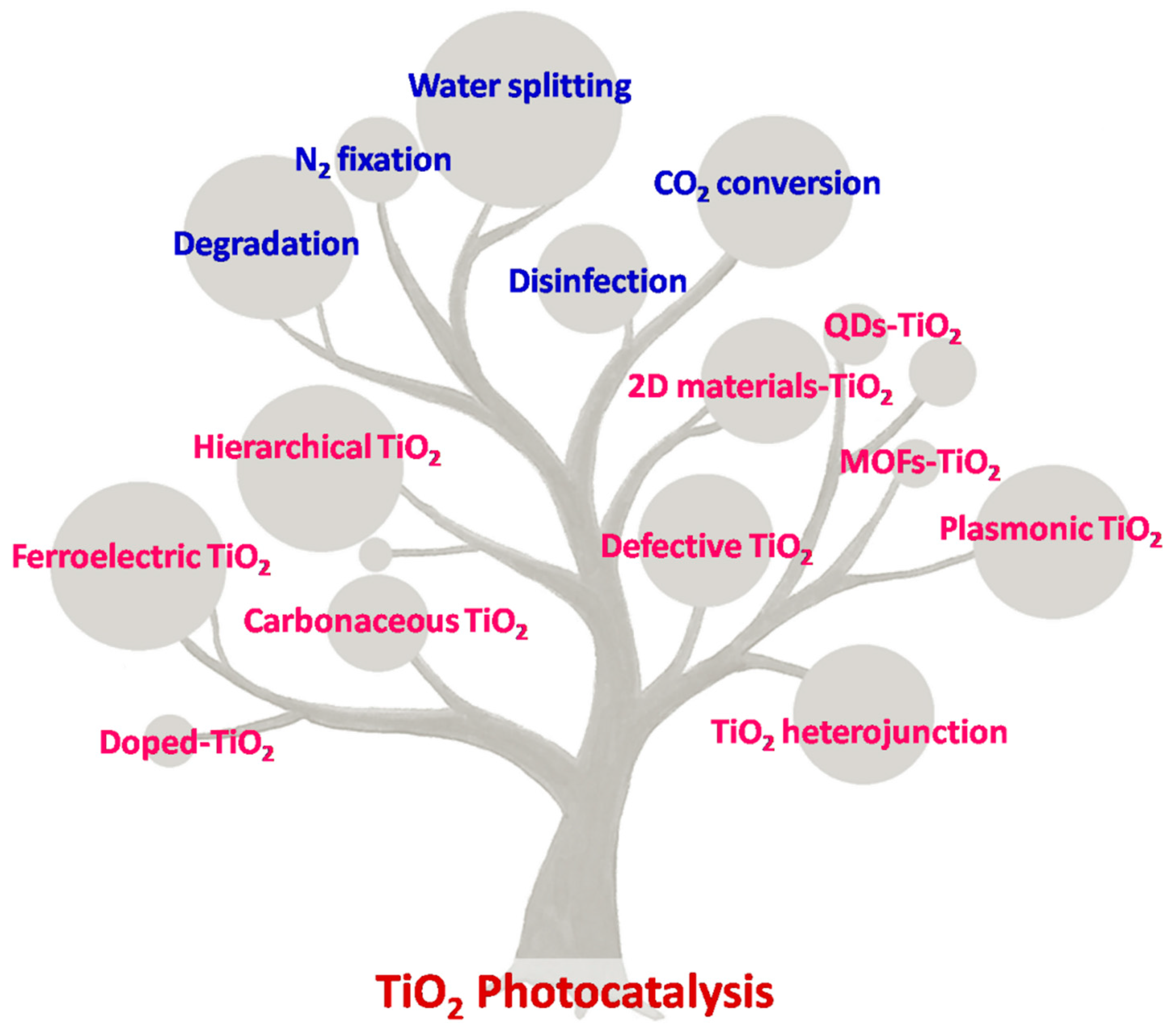 Catalysts 10 00670 g001