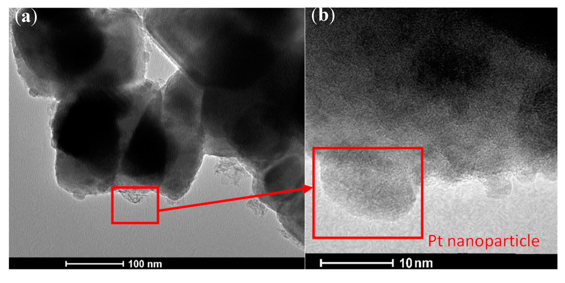 Catalysts 10 00672 g006 Catalysts 10 00672 g006