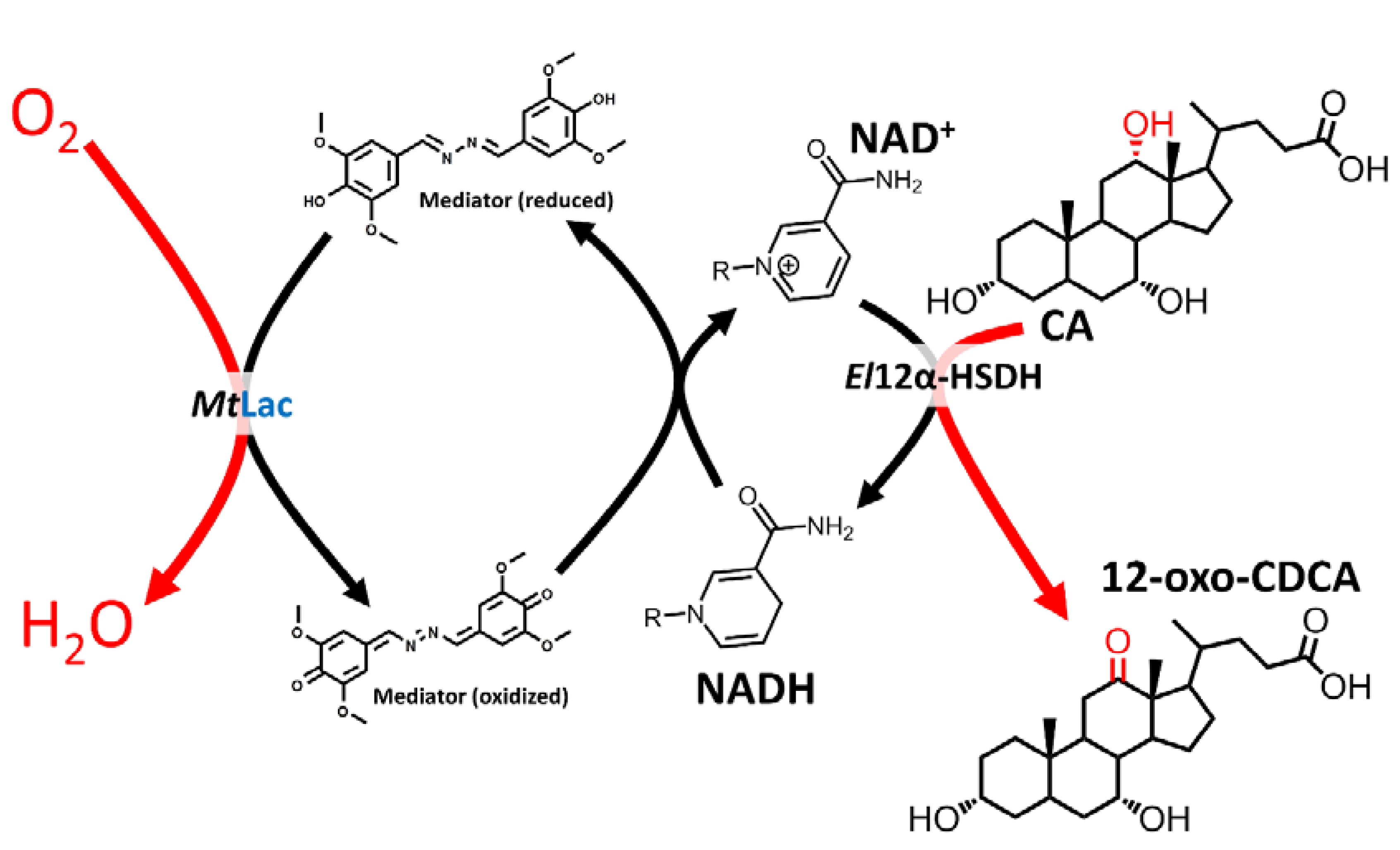 Catalysts 10 00677 sch001