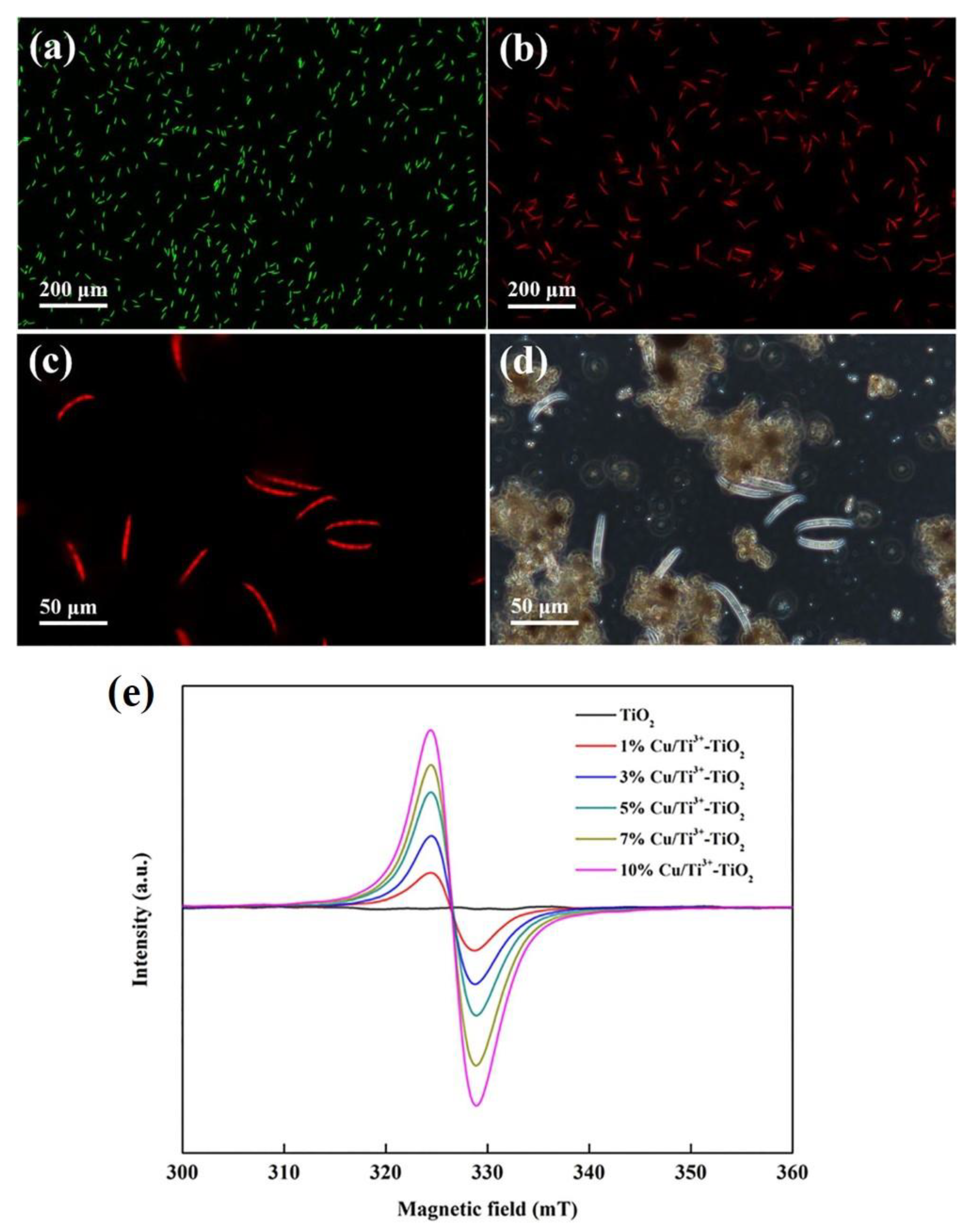 Catalysts 10 00679 g006 Catalysts 10 00679 g006