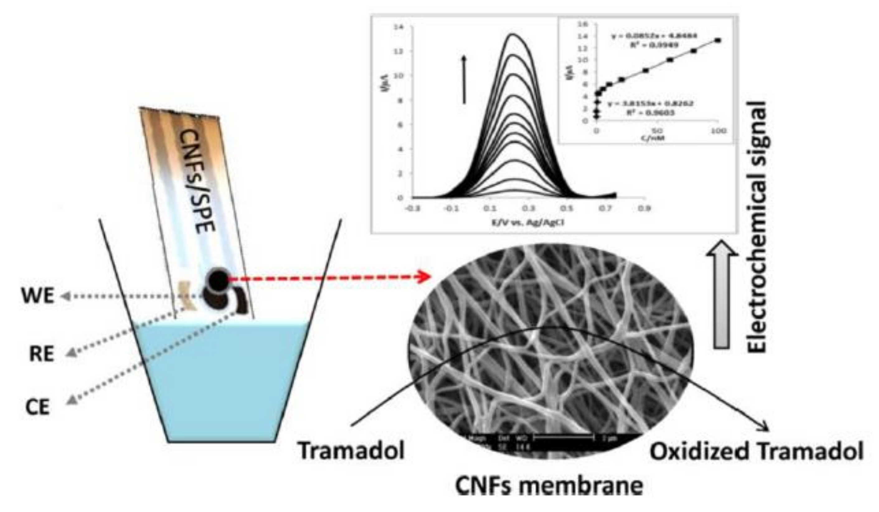 Catalysts 10 00680 g014