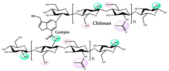 Catalysts 10 00697 g006
