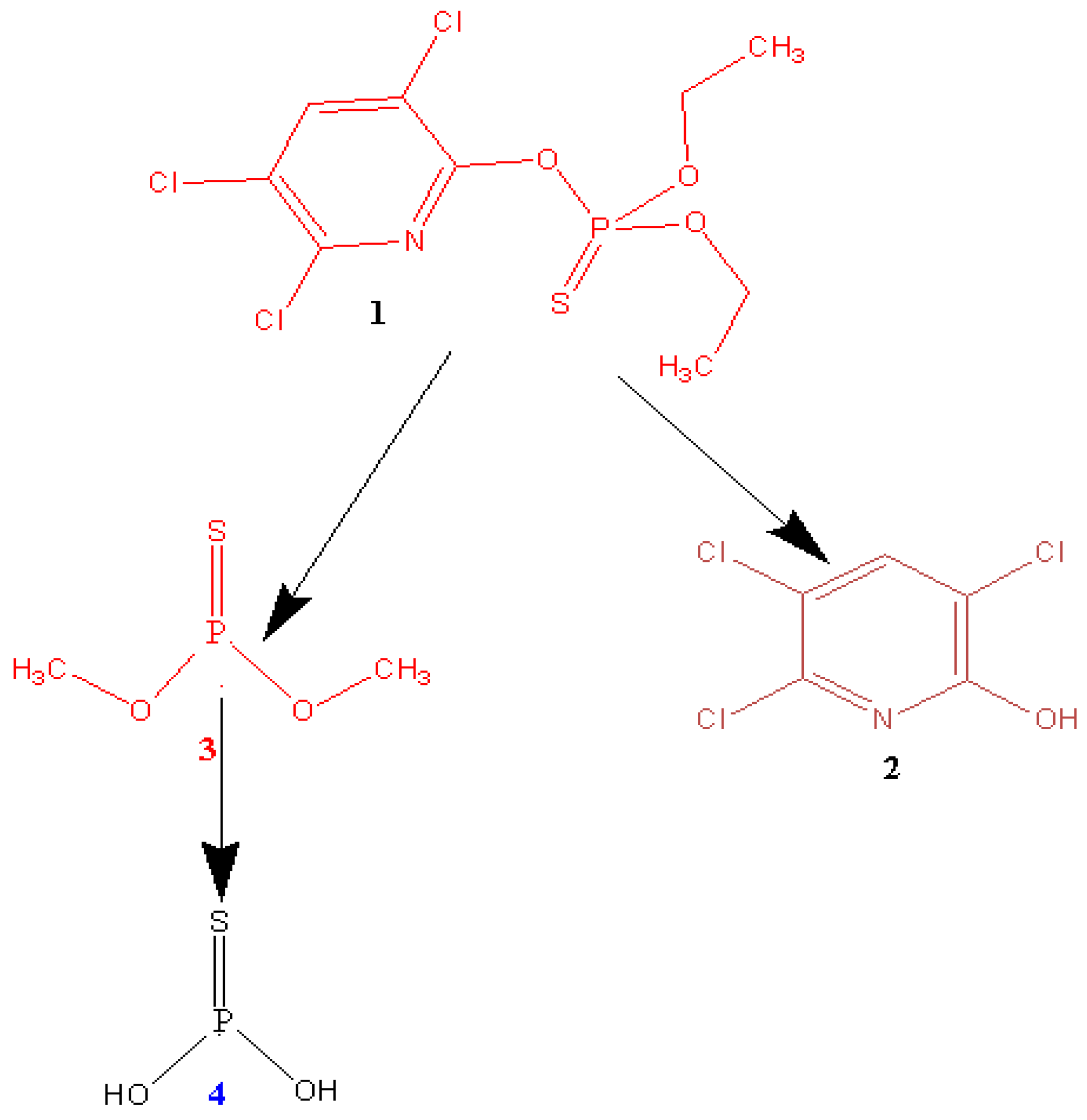 Catalysts 10 00699 g016 Catalysts 10 00699 g016