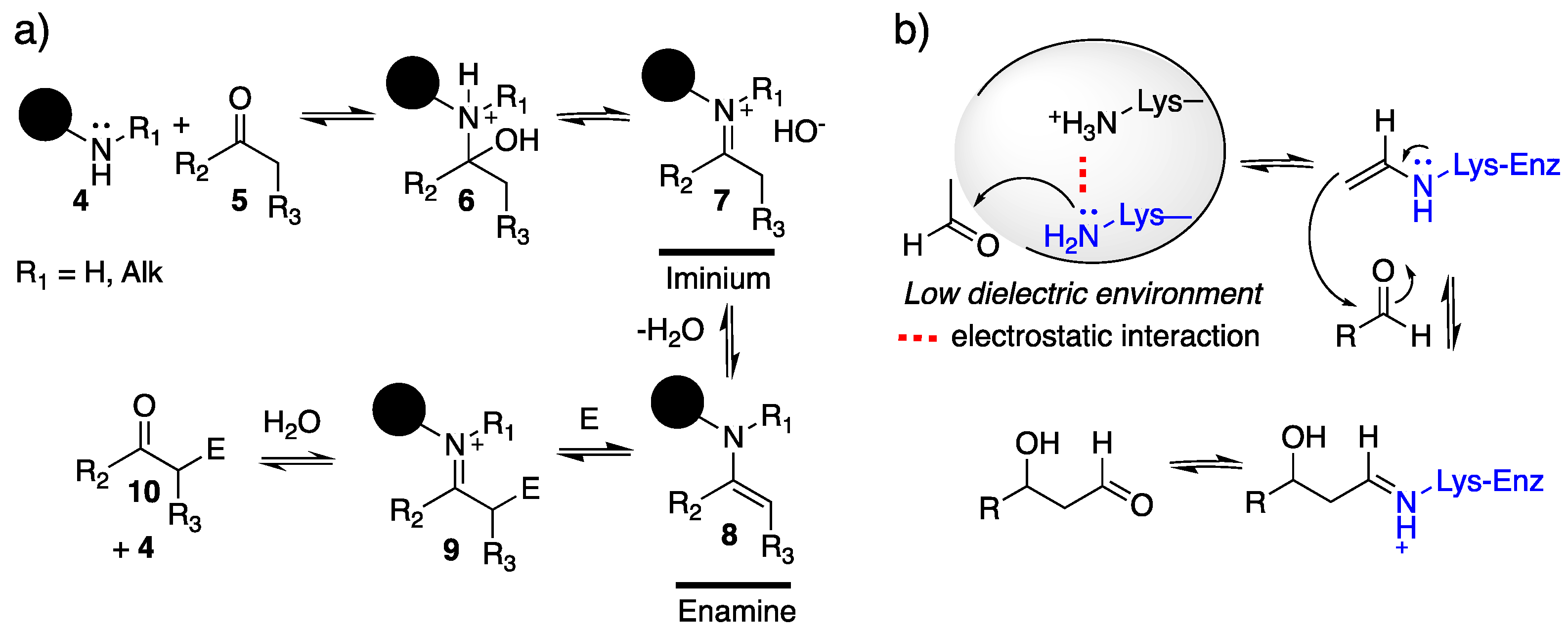 Catalysts 10 00700 g001