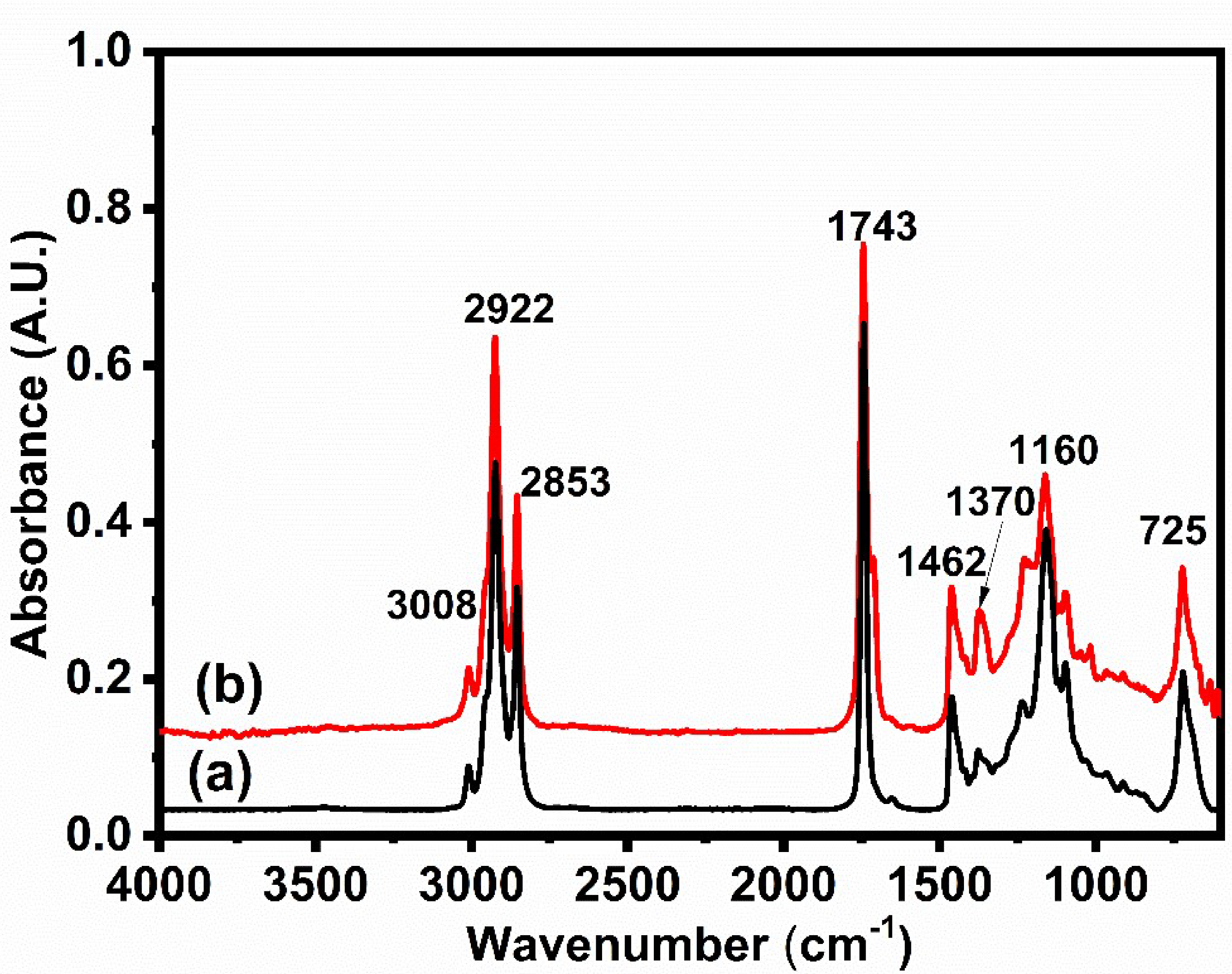 Catalysts 10 00703 g005 Catalysts 10 00703 g005