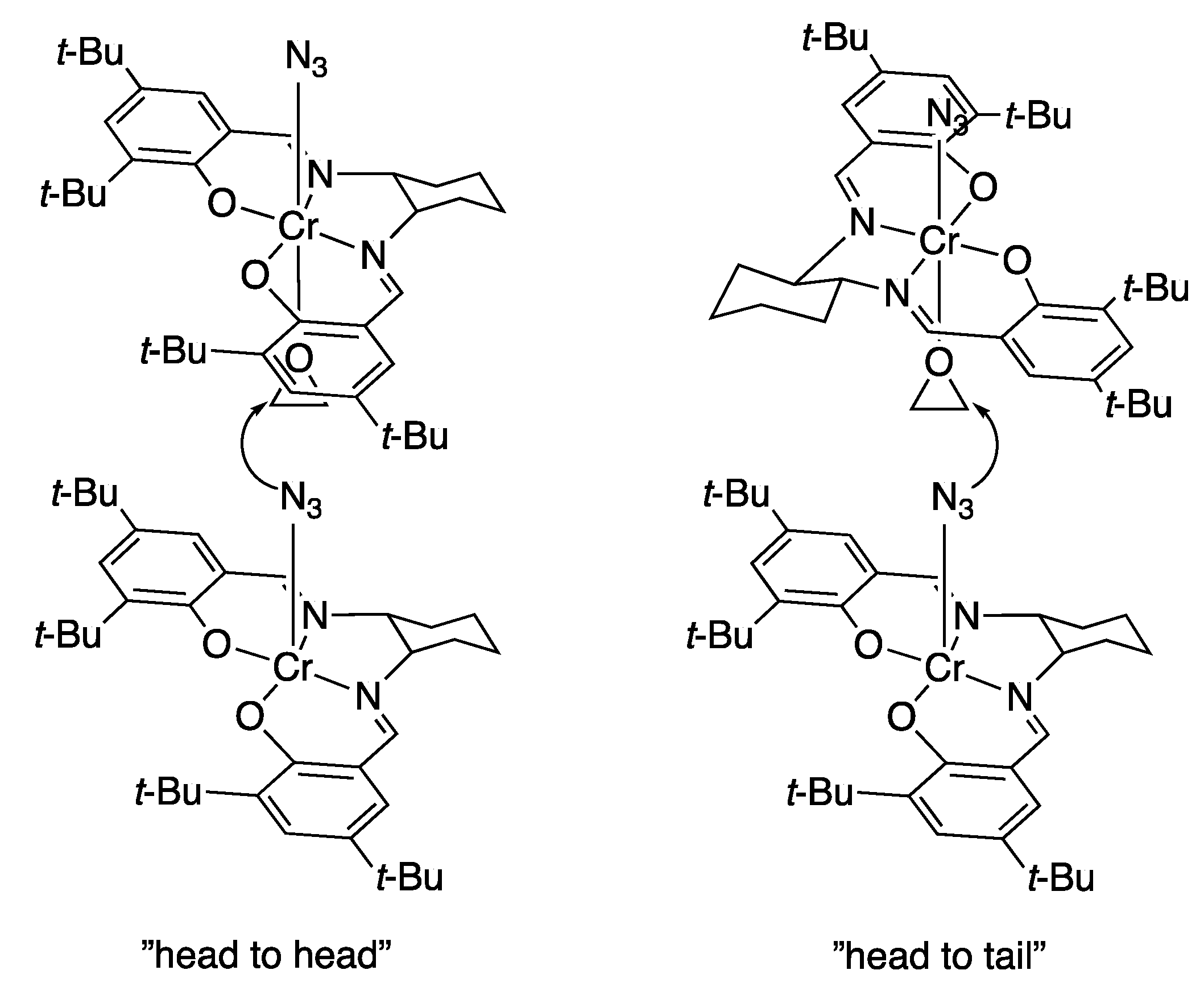 Catalysts 10 00705 g002