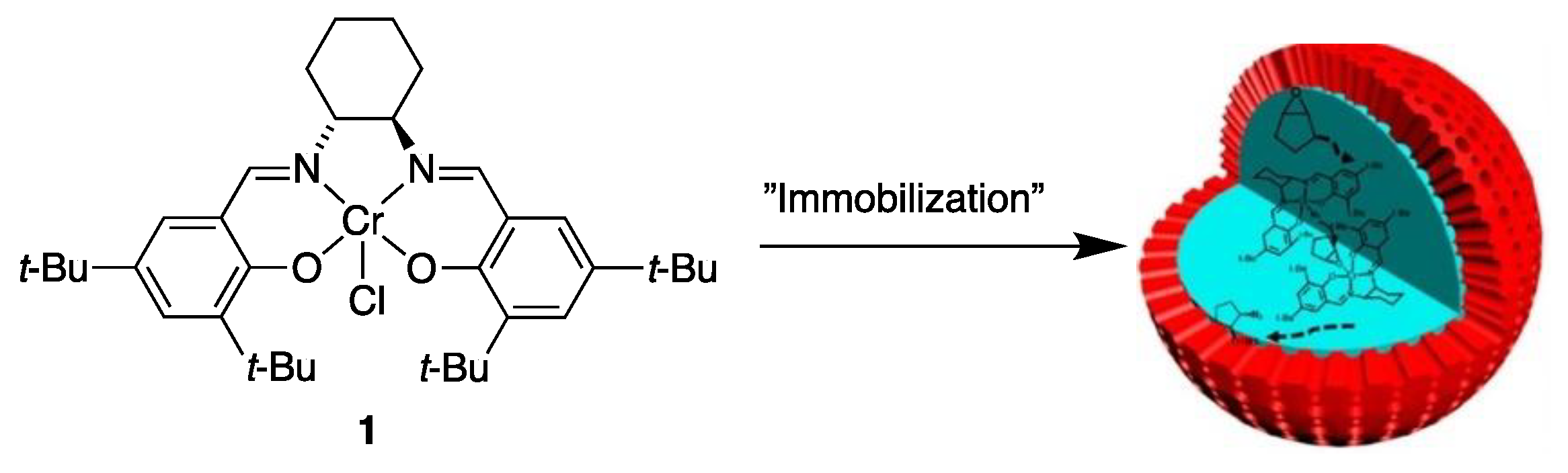 Catalysts 10 00705 g013