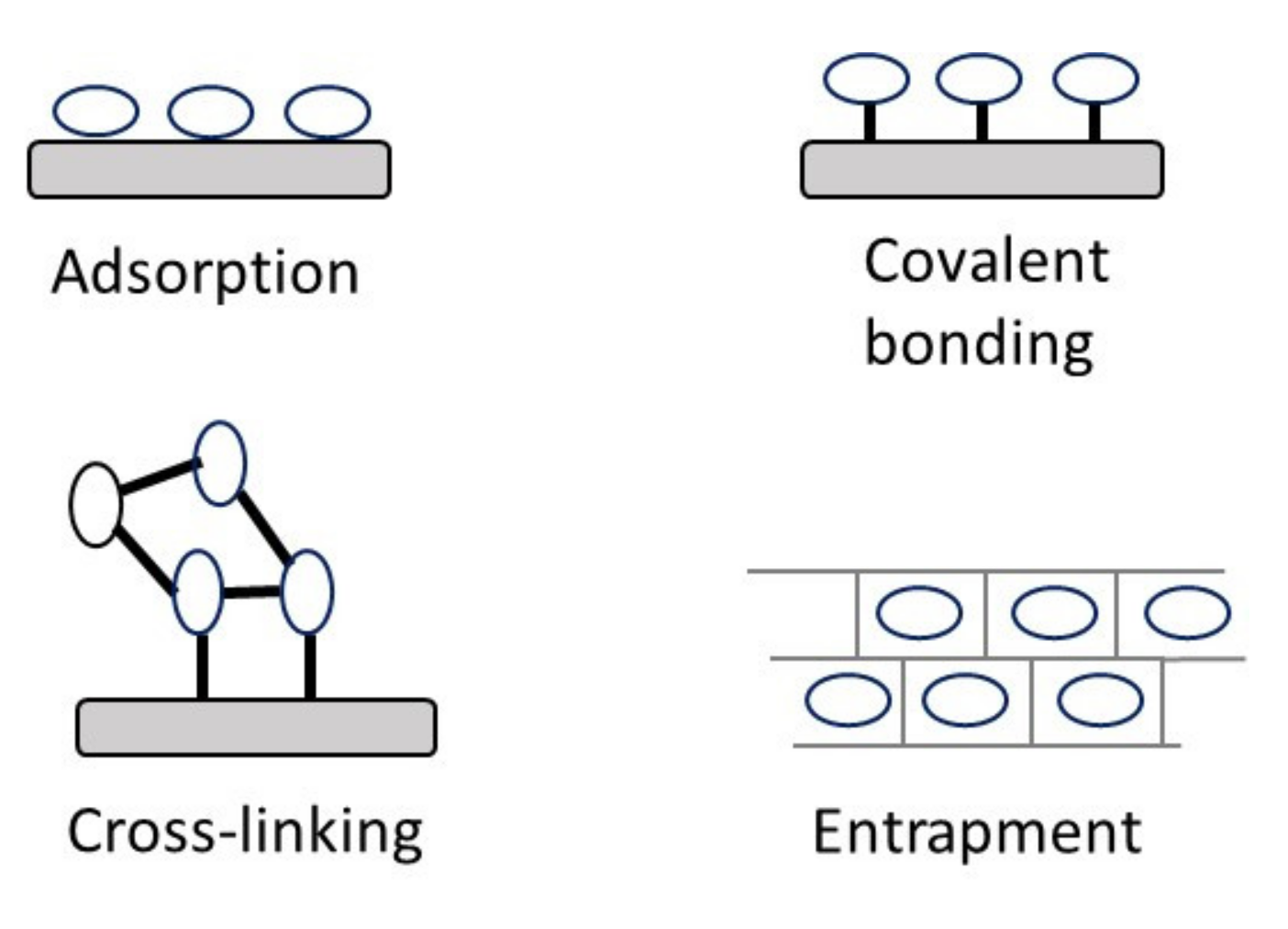 Catalysts 10 00706 g001